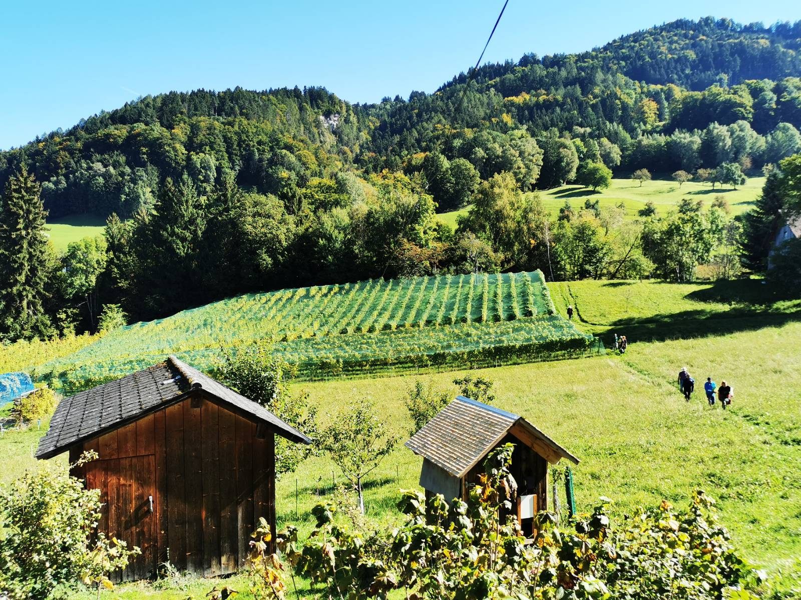 Weingut in Batschuns Weingut in Batschuns
