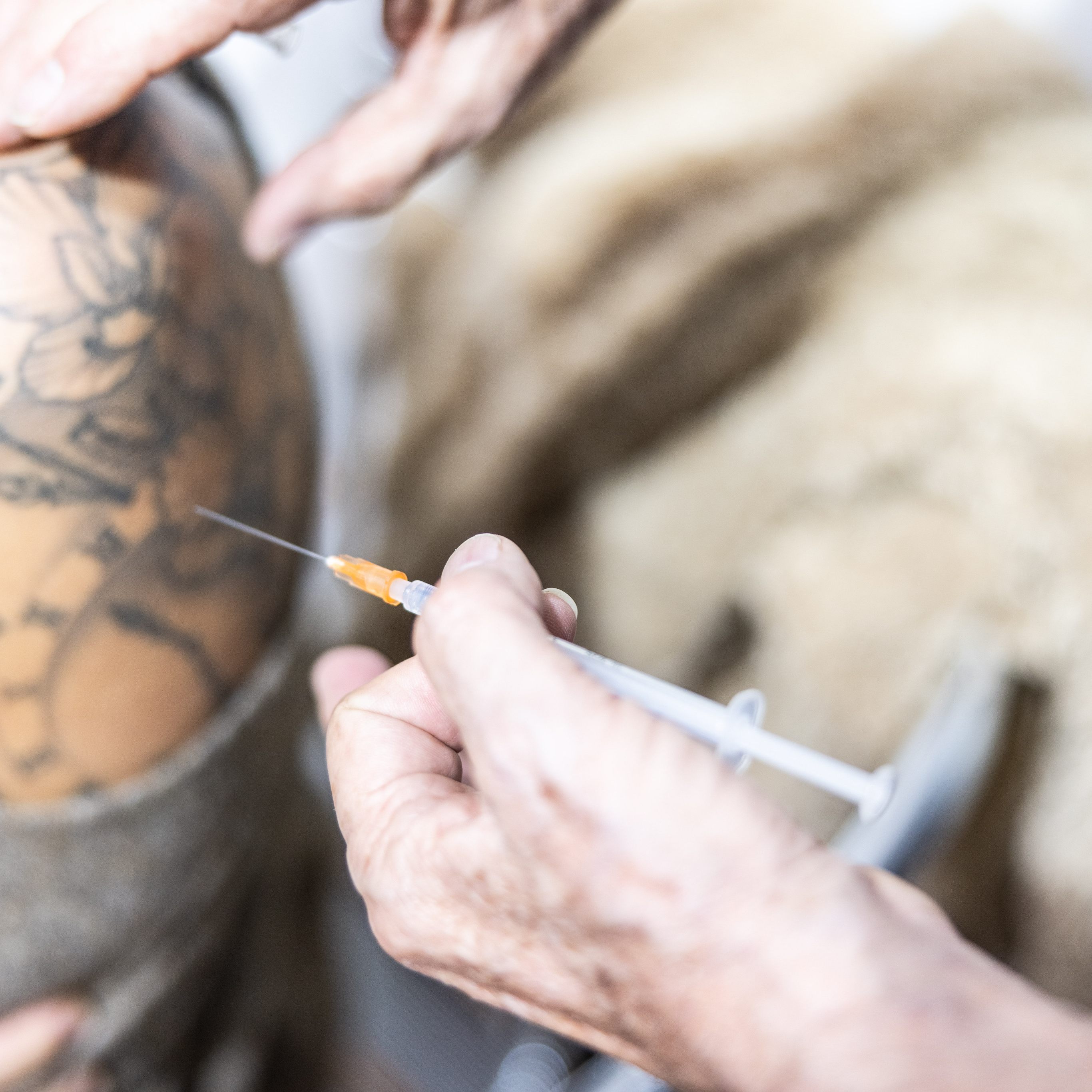 Auch die Impfwoche vor Weihnachten war ein voller Erfolg.