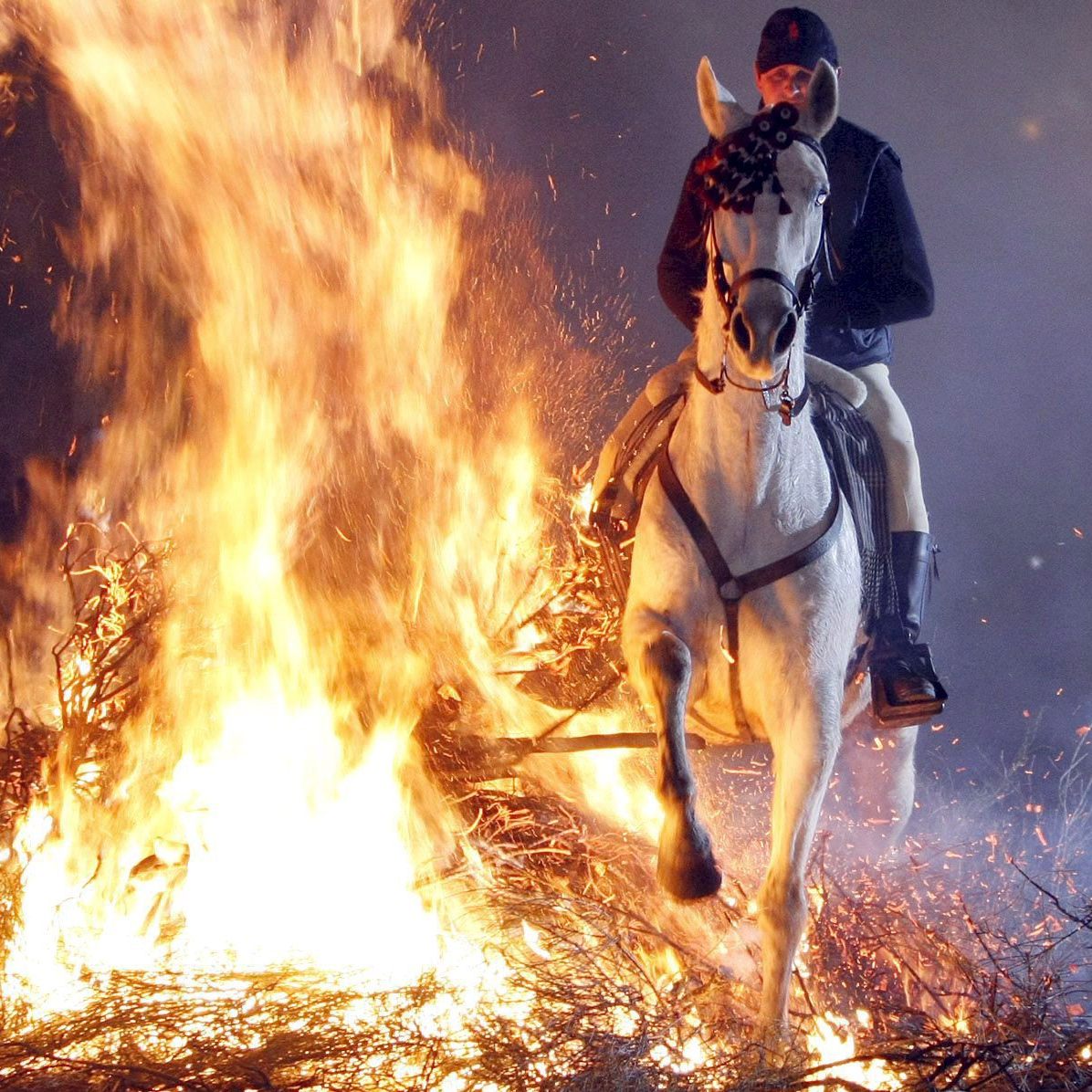 Wenn es brenzlig wird, müssen Pferd und Reiter aufeinander zählen können.