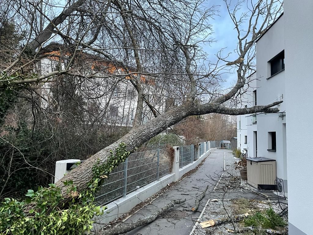 In Ebreichsdorf kam es durch den Sturm zu Schäden. In Ebreichsdorf kam es durch den Sturm zu Schäden.