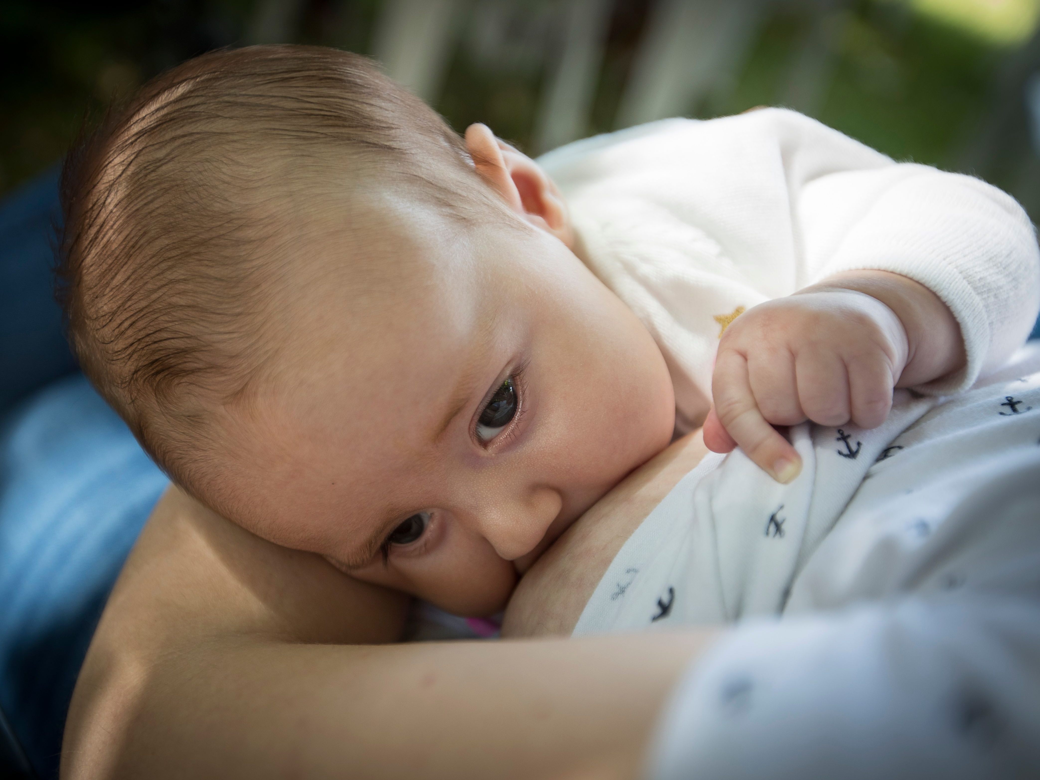 Baby sollen sich, laut US-Studie, nicht durch Stillen mit dem Coronavirus anstecken können. Baby sollen sich, laut US-Studie, nicht durch Stillen mit dem Coronavirus anstecken können.