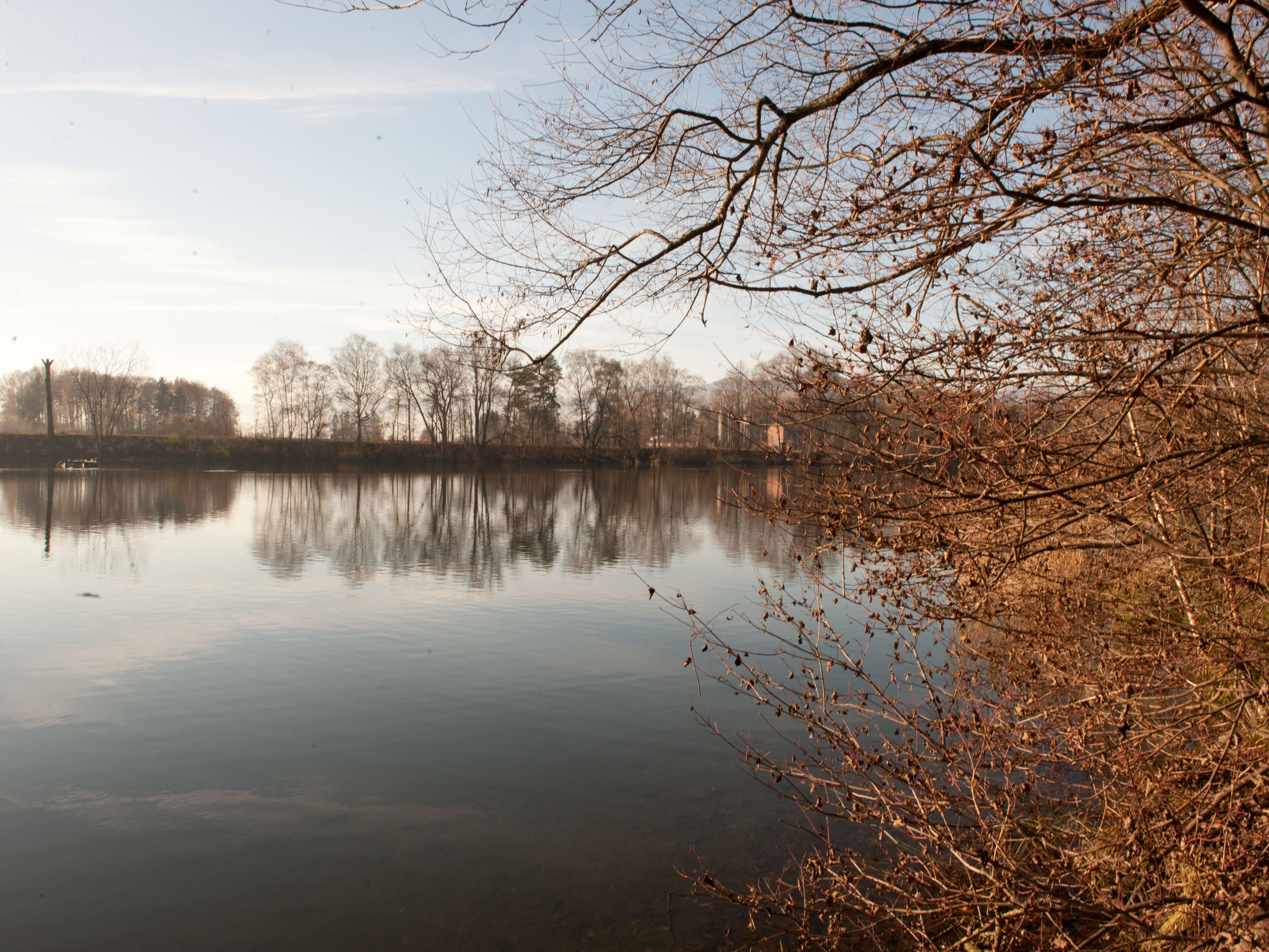 Eine Joggerin wollte sich lediglich nach dem Laufen im Alten Rhein abkühlen. (Symbolbild) Eine Joggerin wollte sich lediglich nach dem Laufen im Alten Rhein abkühlen. (Symbolbild)