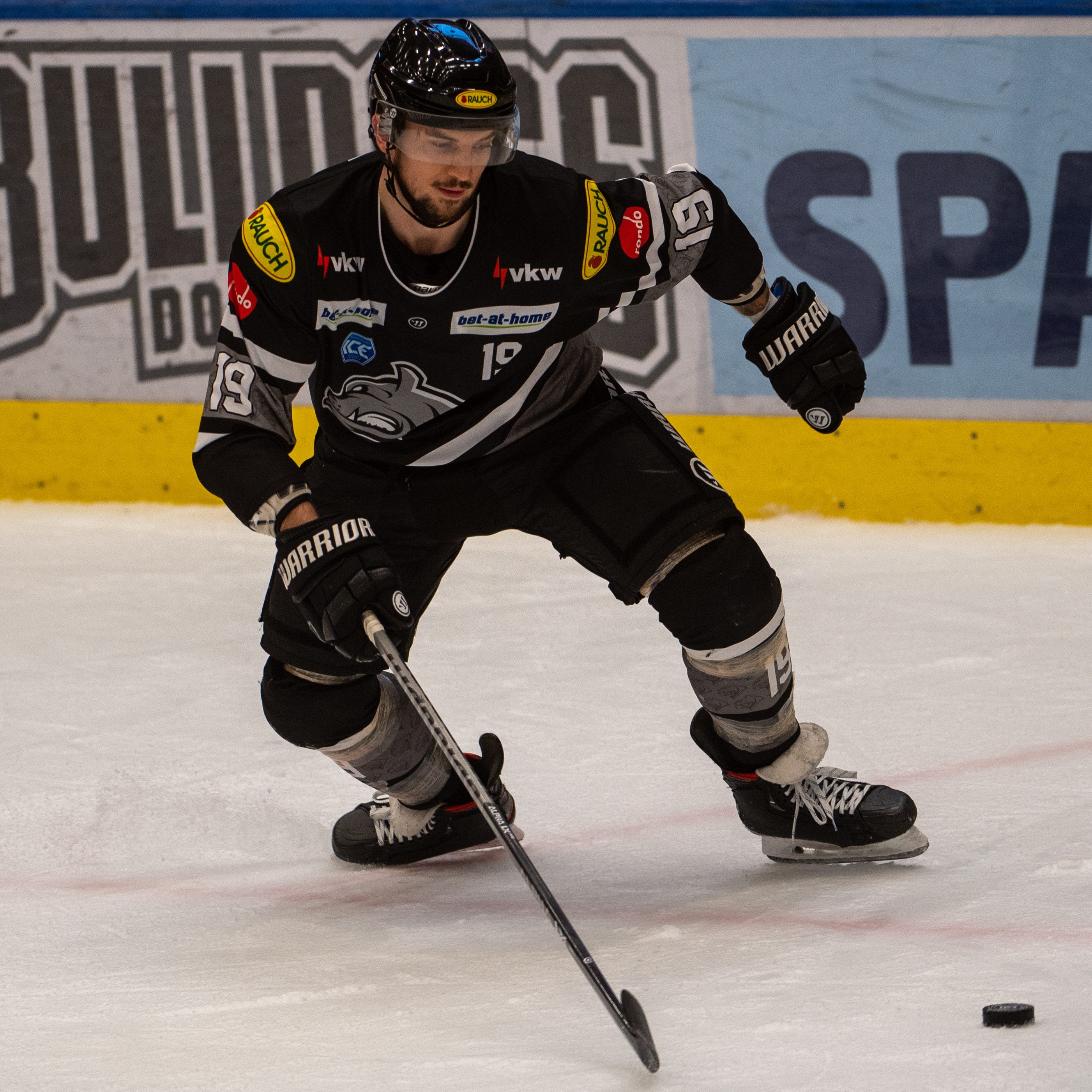 Die Bulldogs verspielten heute eine 3:0-Führung in Bozen.