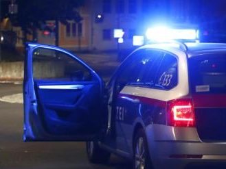 Die Polizei nahm einen 20-Jährigen in Wien-Ottakring fest, weil er mit Komplitzen die Radklammer eines PKWs abgesägt hatte. Die Polizei nahm einen 20-Jährigen in Wien-Ottakring fest, weil er mit Komplitzen die Radklammer eines PKWs abgesägt hatte.