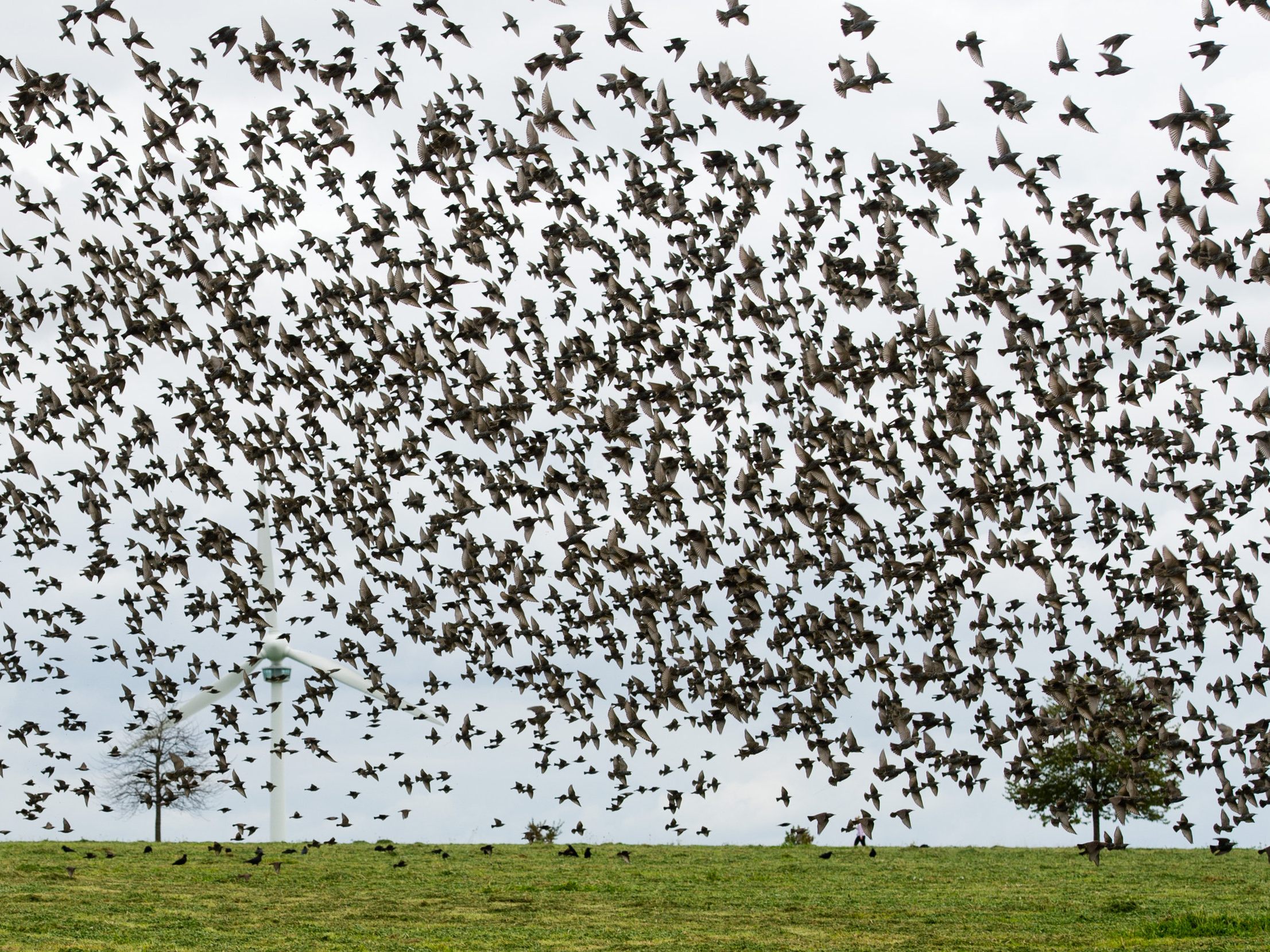 Ein Hobbyfotograf filmte unglaubliche Szenen am Himmel.