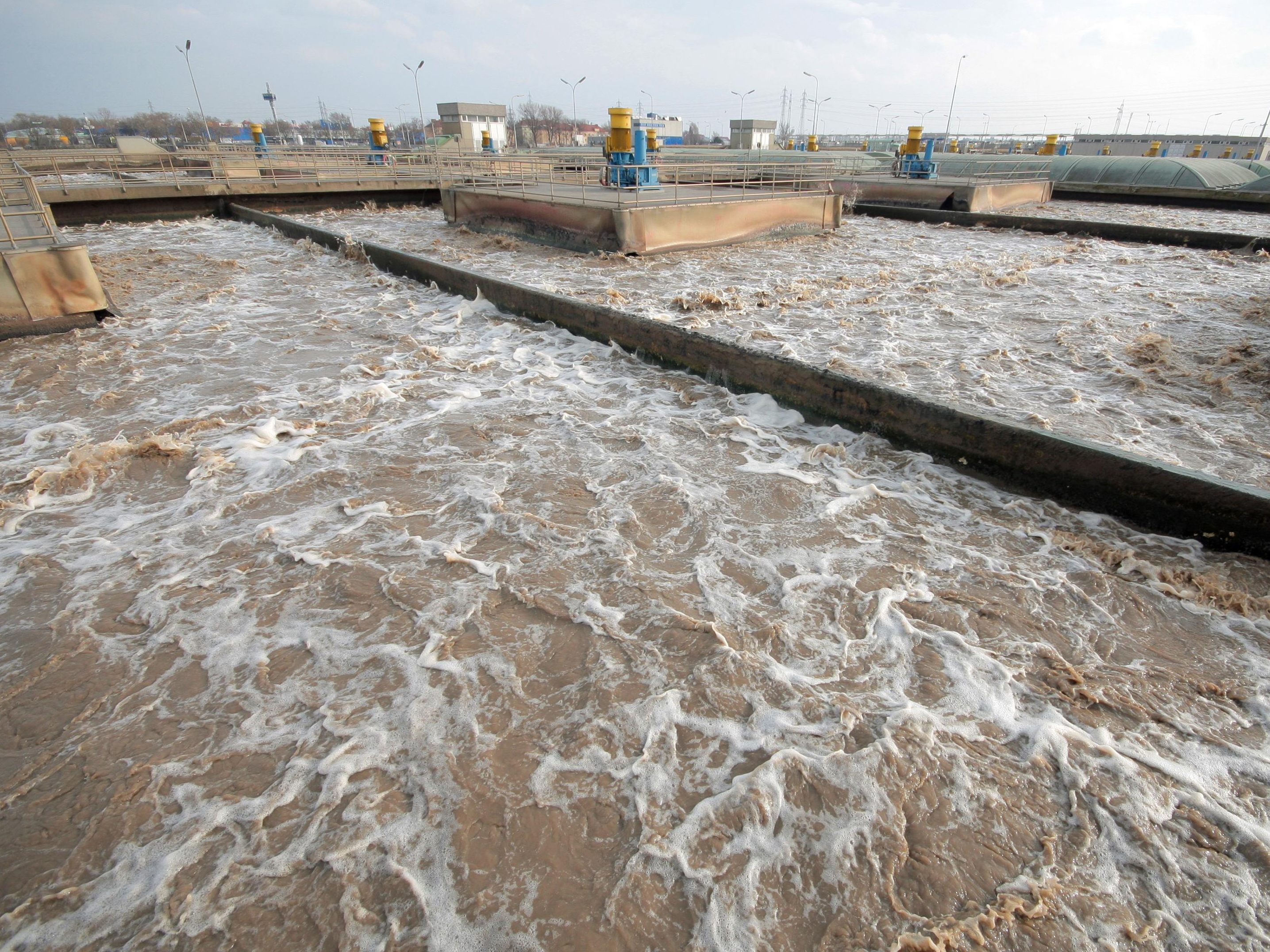 Die Viren-Konzentration im Abwasser könnte bald ein Plateau erreichen. Die Viren-Konzentration im Abwasser könnte bald ein Plateau erreichen.