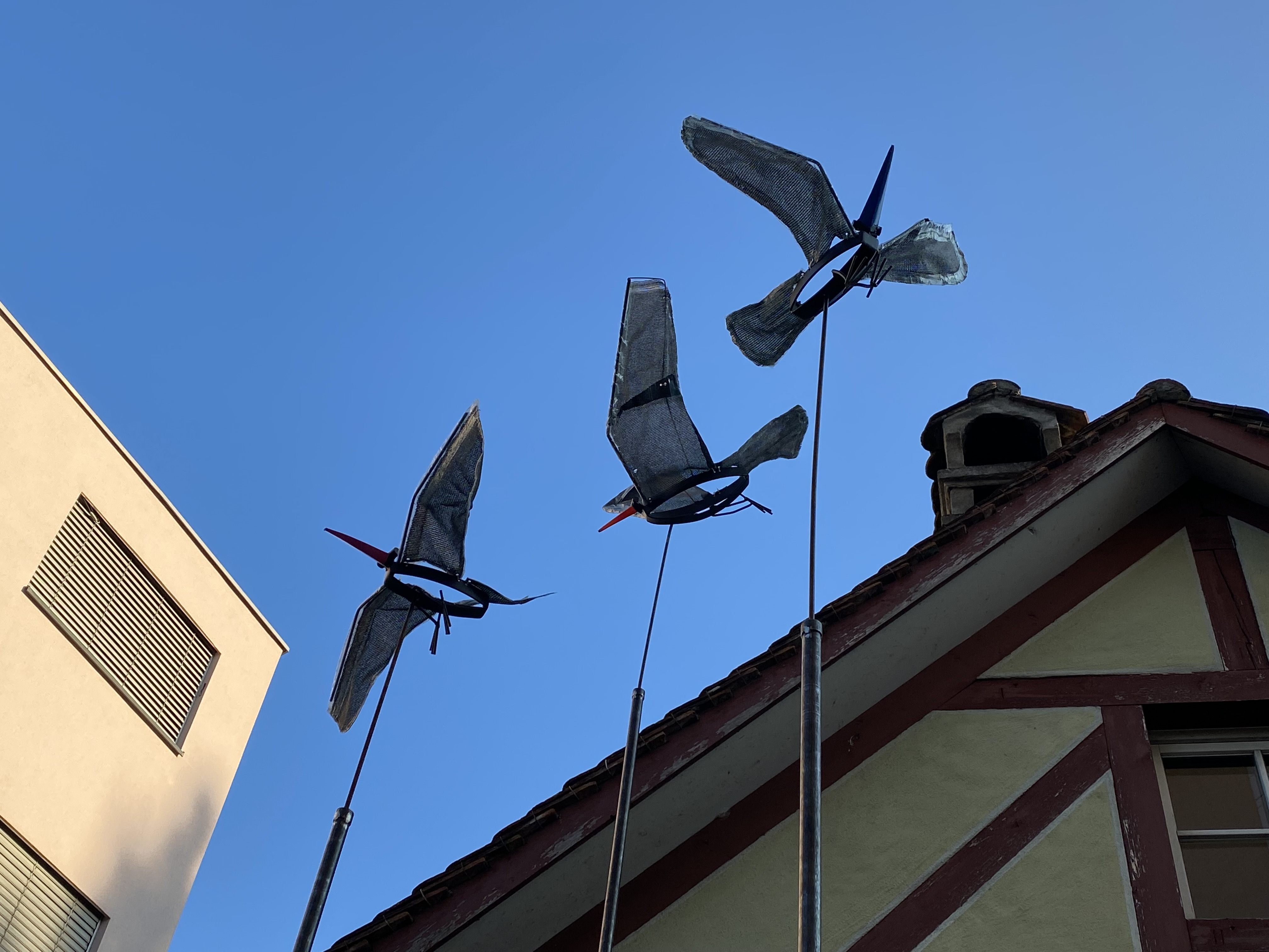 Bernhard Fritz' Vögel laden zum Schwärmen ein