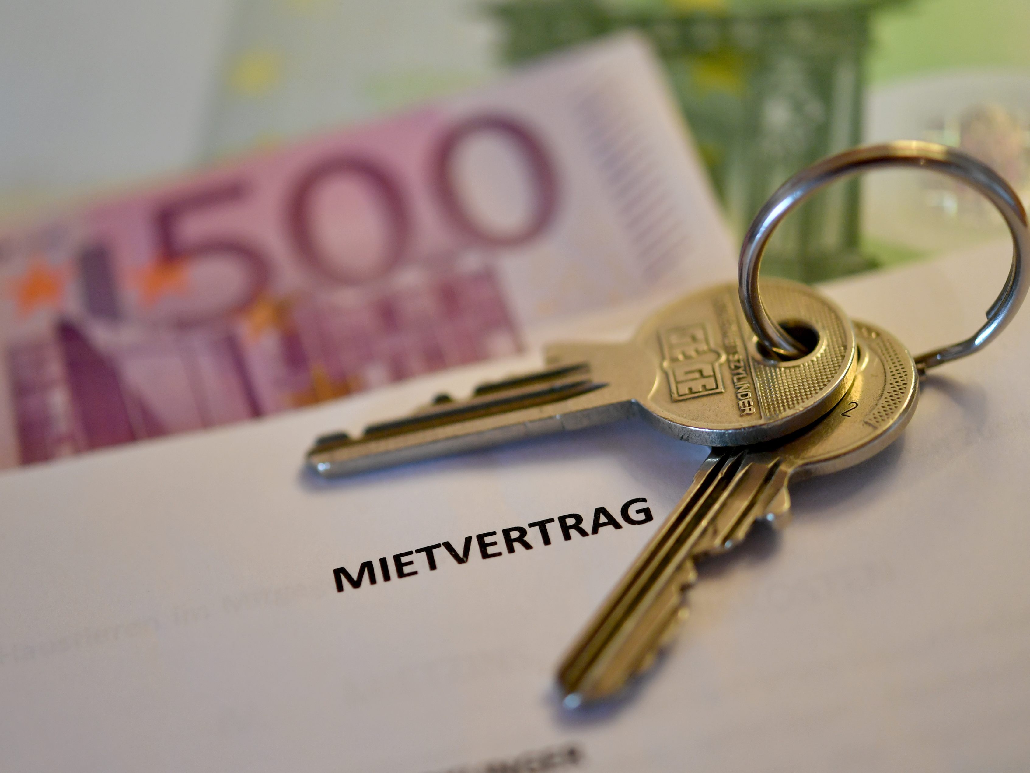 Teuer als in Wien kamen private Mietwohnungen in Vorarlberg, Salzburg und Tirol Teuer als in Wien kamen private Mietwohnungen in Vorarlberg, Salzburg und Tirol