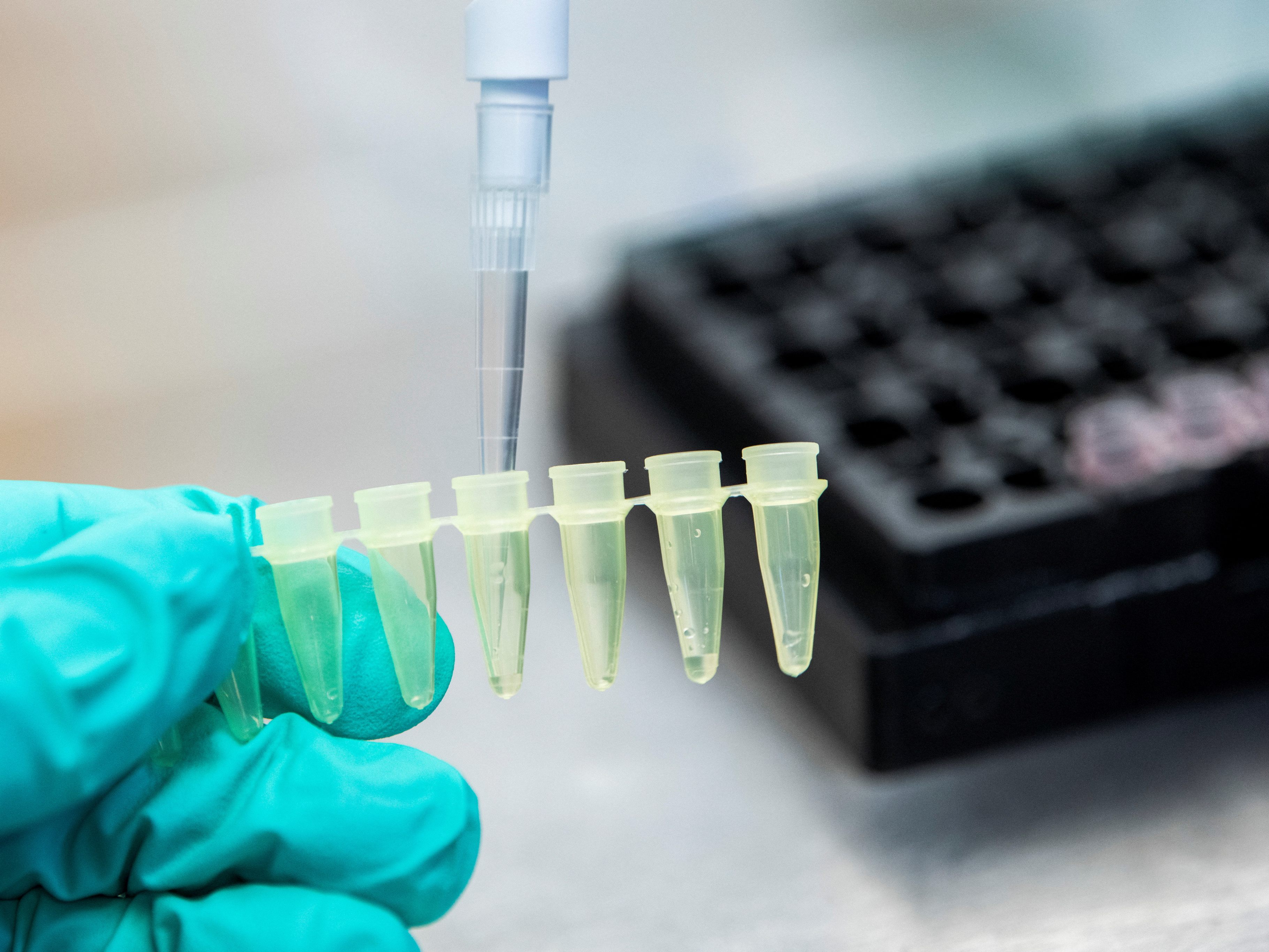 Die Omikron-Welle nimmt Fahrt auf. Die Omikron-Welle nimmt Fahrt auf.