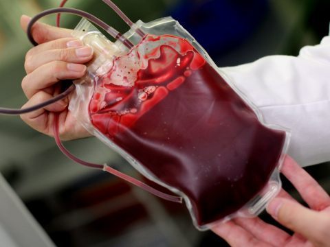 Kein Blut von Geimpften: Eltern verloren Sorgerecht. Kein Blut von Geimpften: Eltern verloren Sorgerecht.