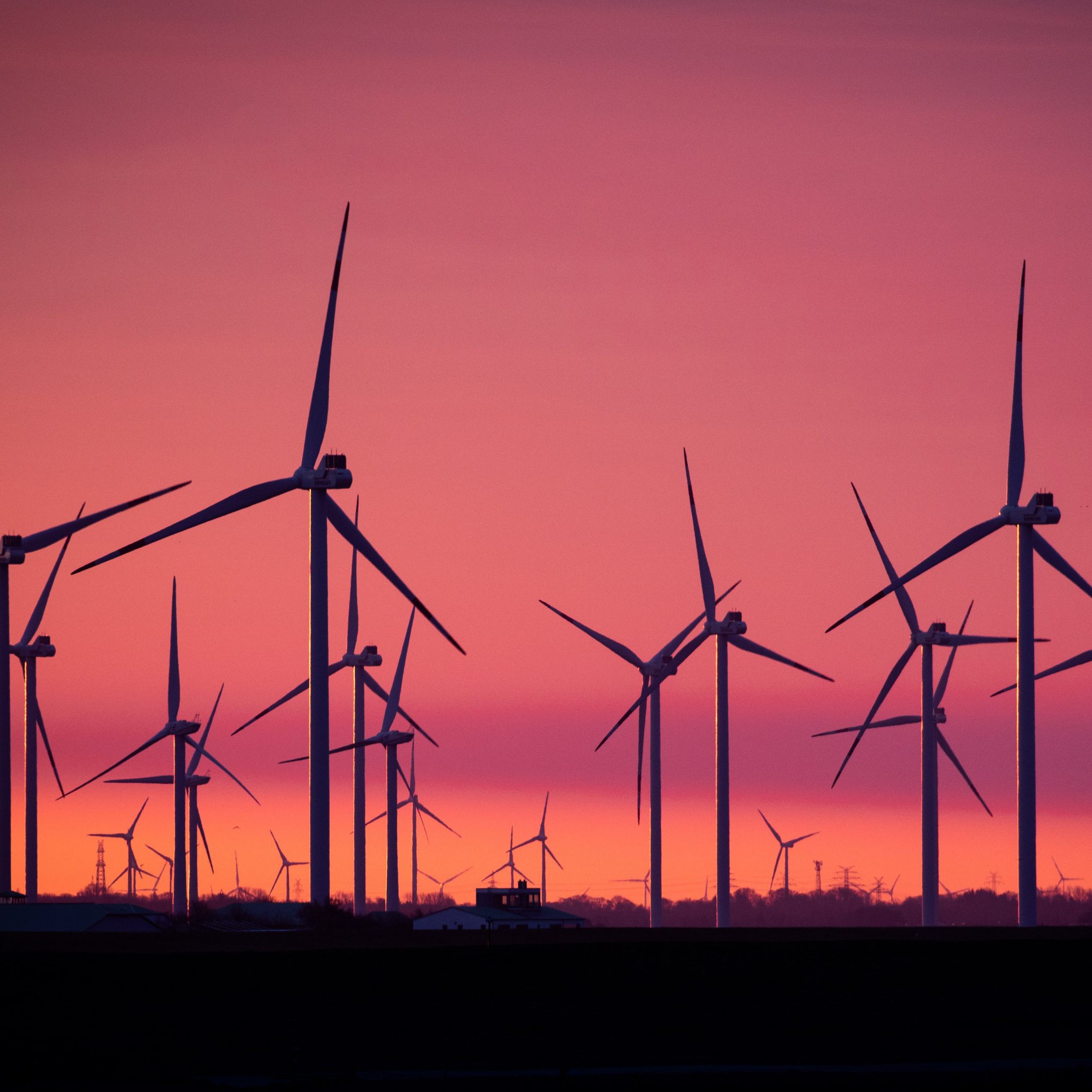 Die Wien Energie will einen neuen Windkraftpark in Niederösterreich errichten.