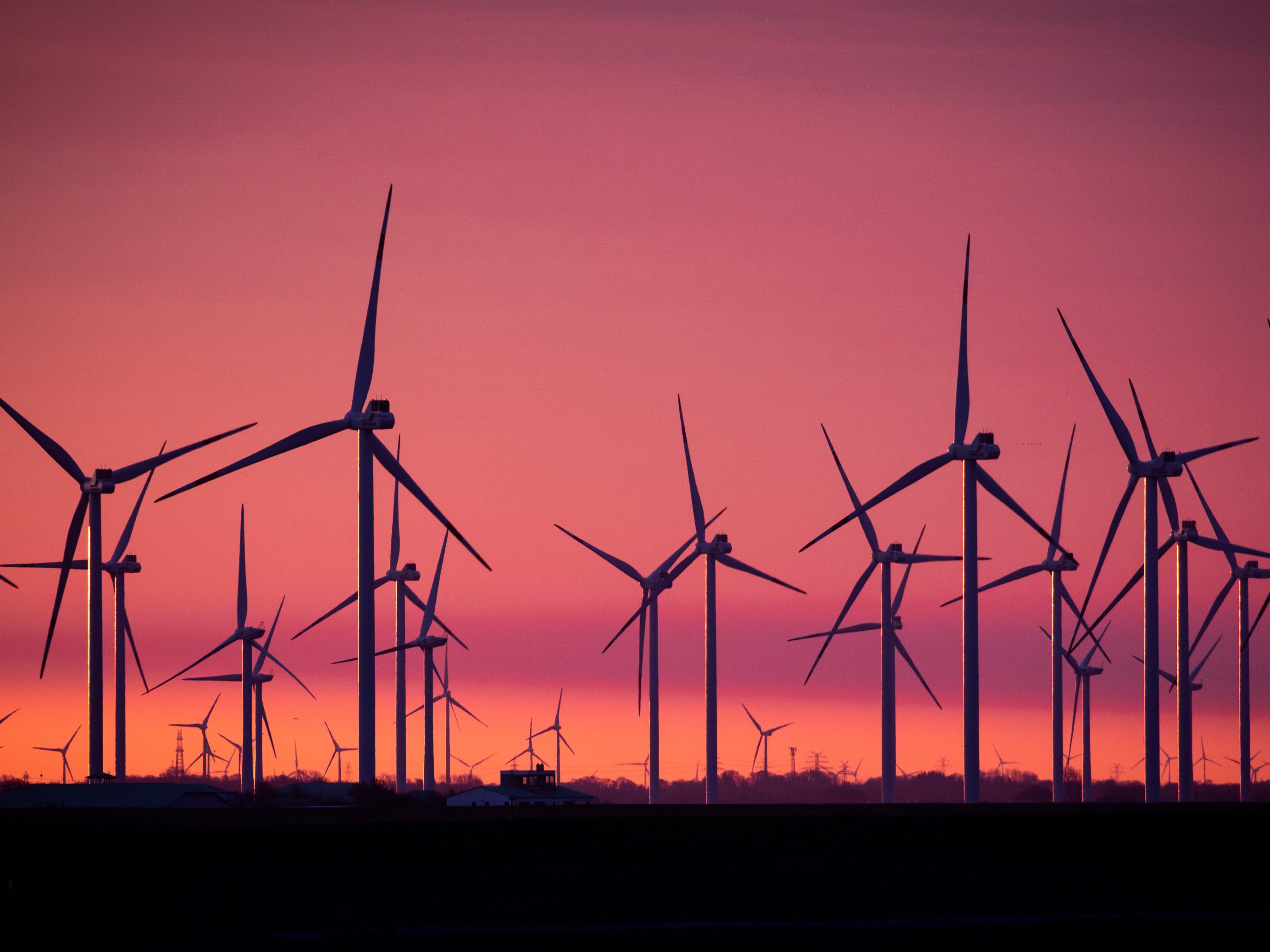 Die Wien Energie will einen neuen Windkraftpark in Niederösterreich errichten.