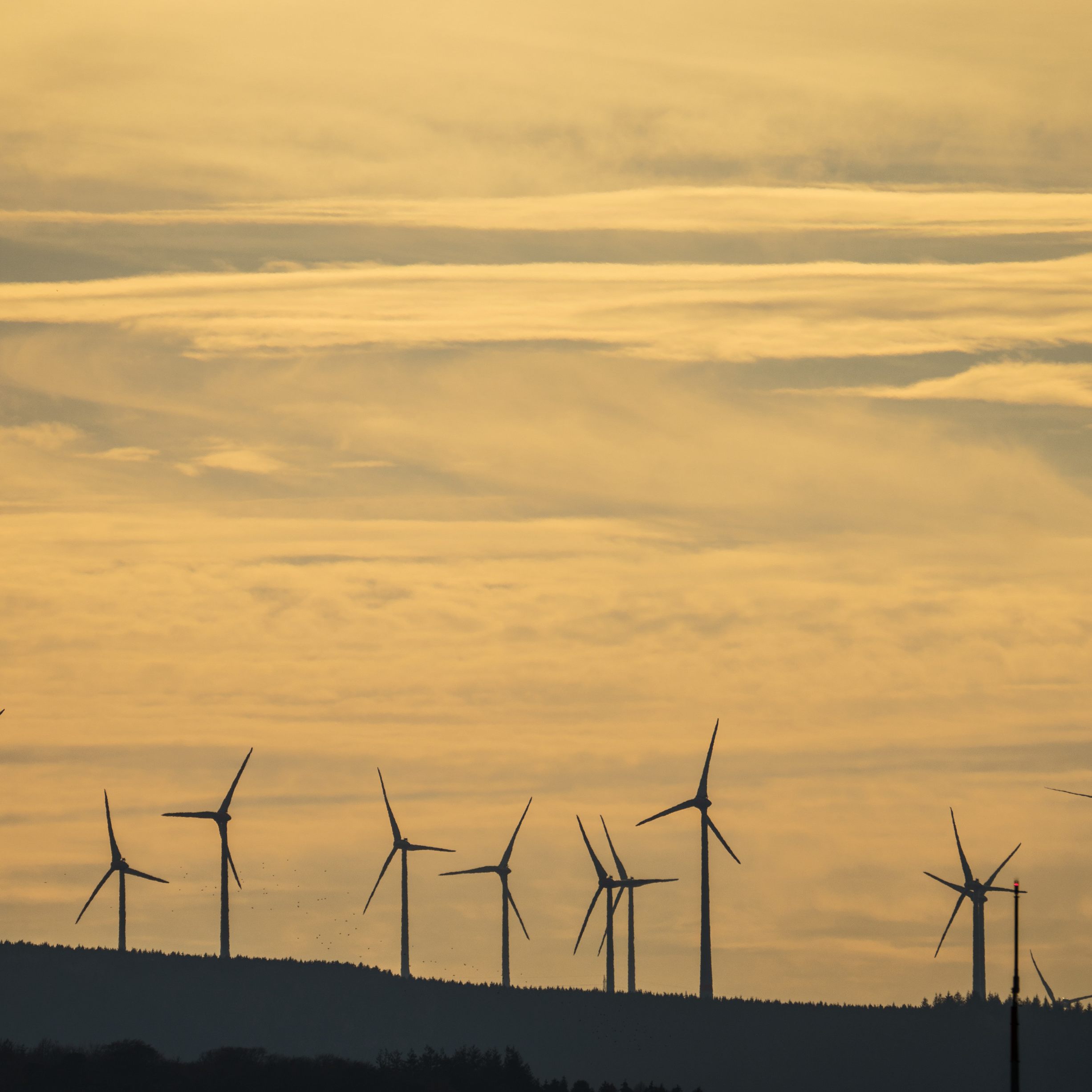 Die EVN investiert 52 Millionen Euro in einen neuen Windpark in Niederösterreich.