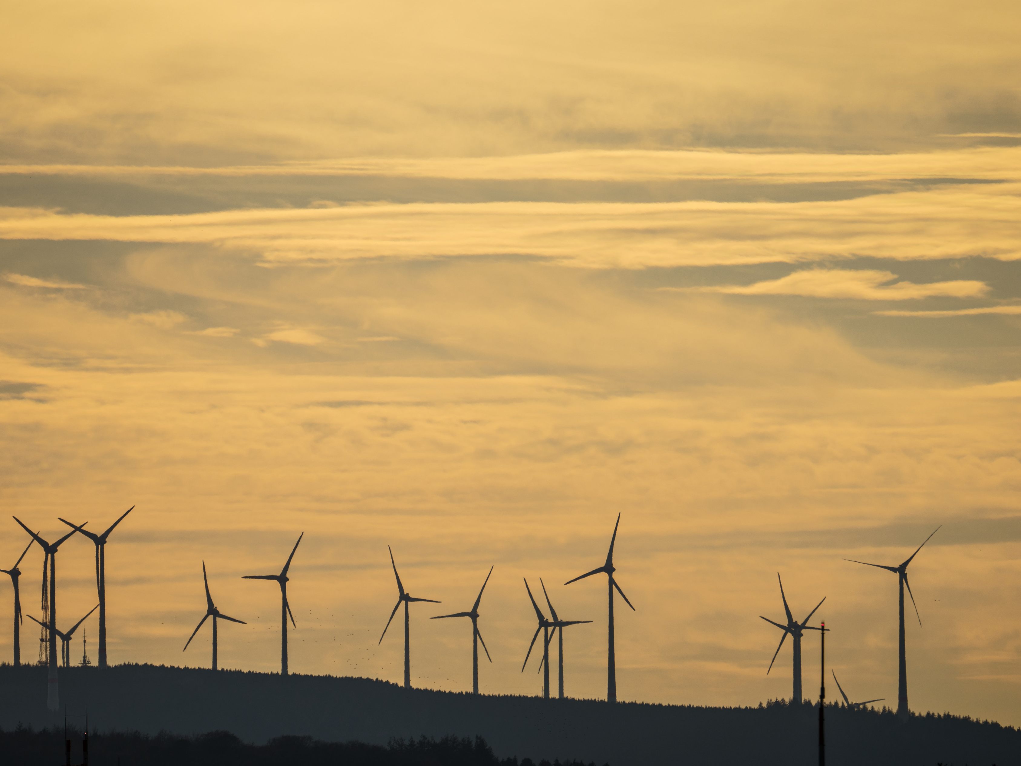 Die EVN investiert 52 Millionen Euro in einen neuen Windpark in Niederösterreich.
