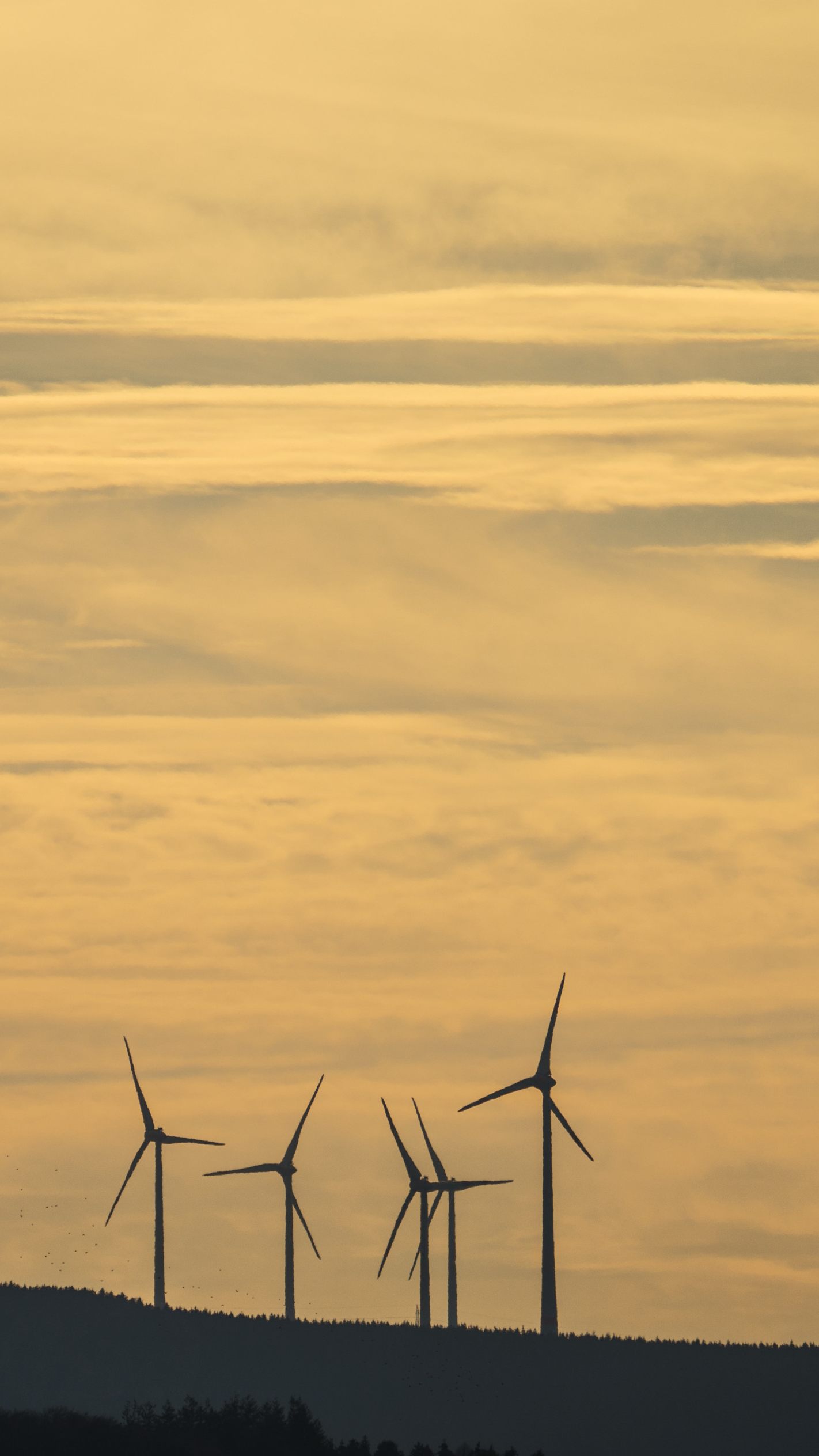 Die EVN investiert 52 Millionen Euro in einen neuen Windpark in Niederösterreich.