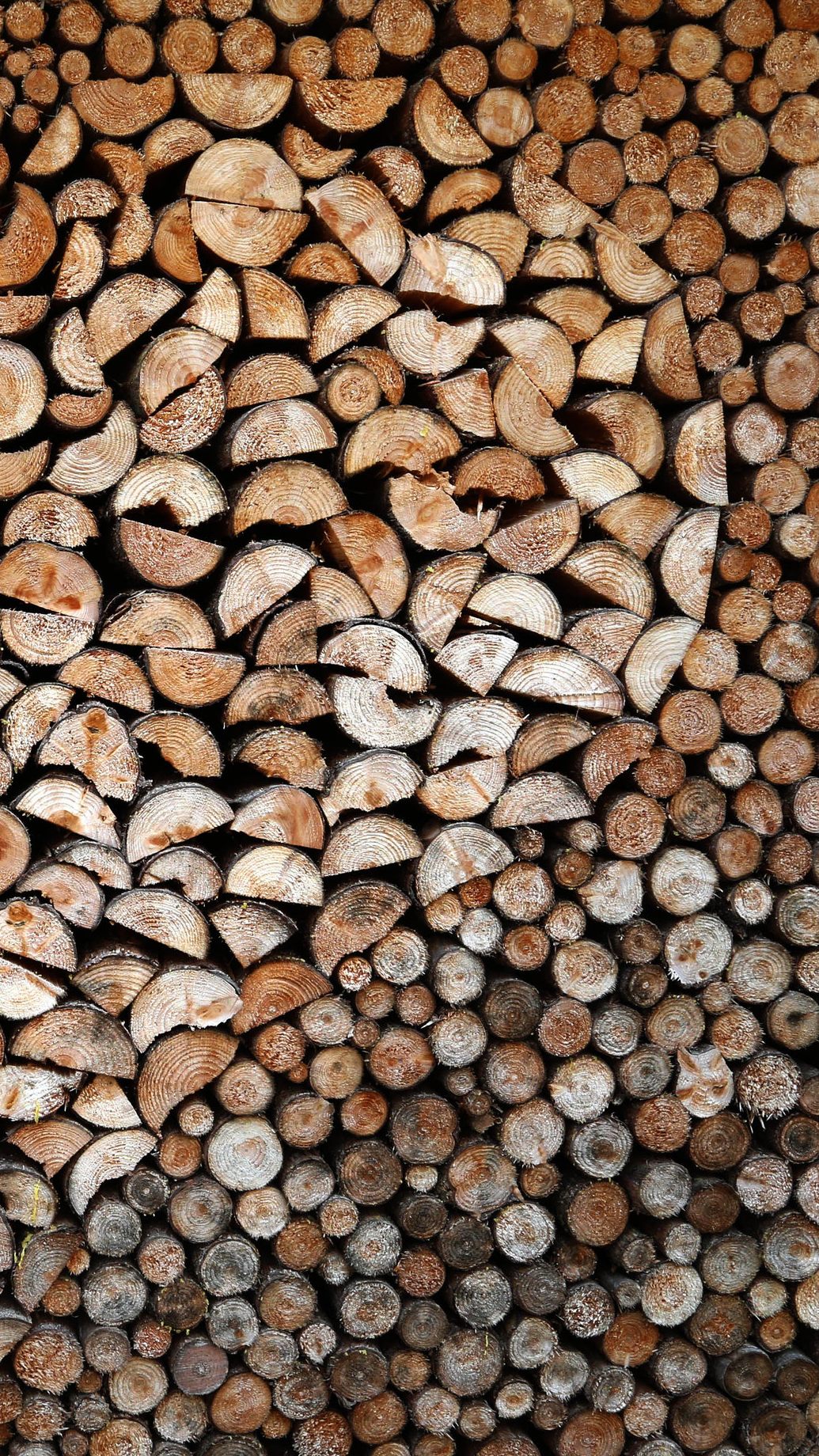 Warum wird am 14. Februar der Valentinstag gefeiert?