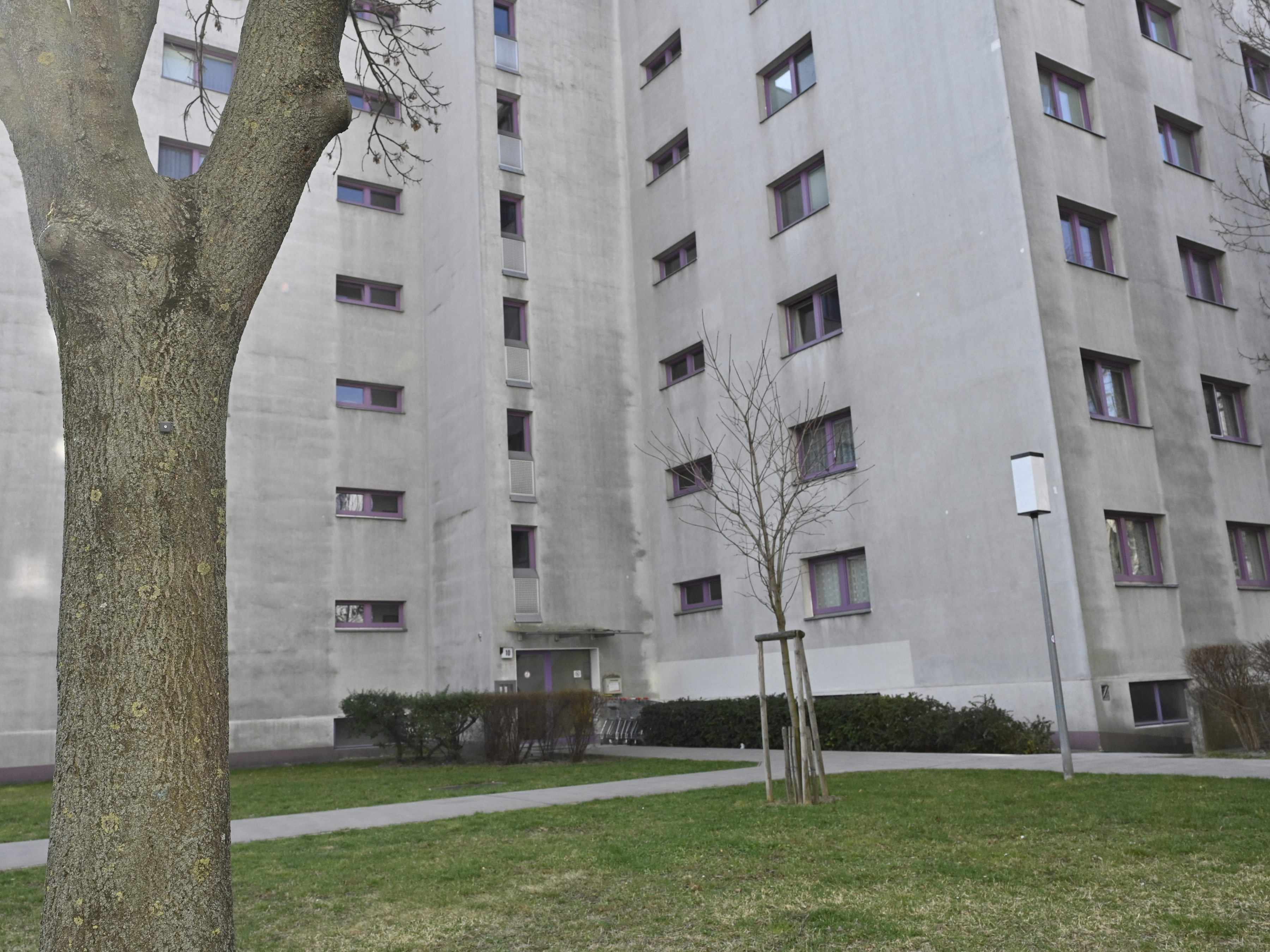 Bei den Leichen, die in einer Floridsdorfer Wohnung gefunden wurden, könnte es sich um Mord und Selbstmord handeln.