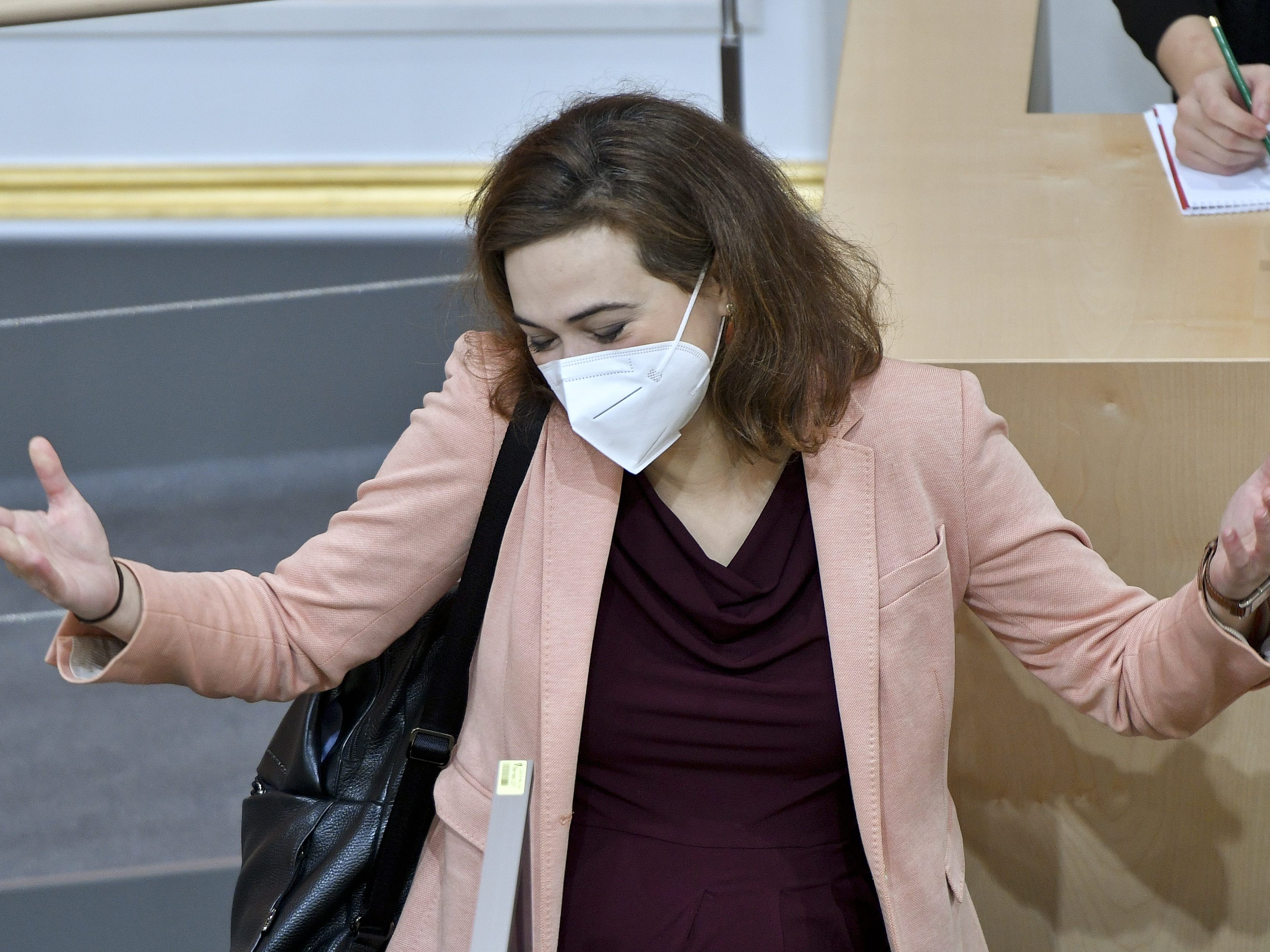 Hat Alma Zadic in ihrer Dissertation nicht ausreichend zitiert?