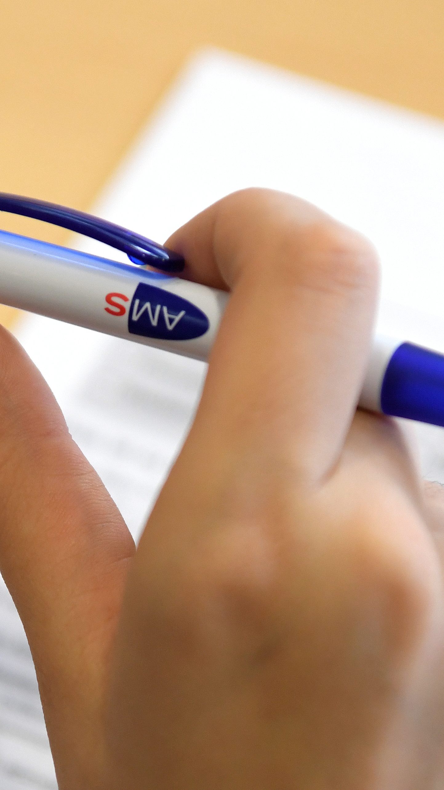 Über 400.000 Österreicher waren Ende Jänner auf Arbeitssuche.