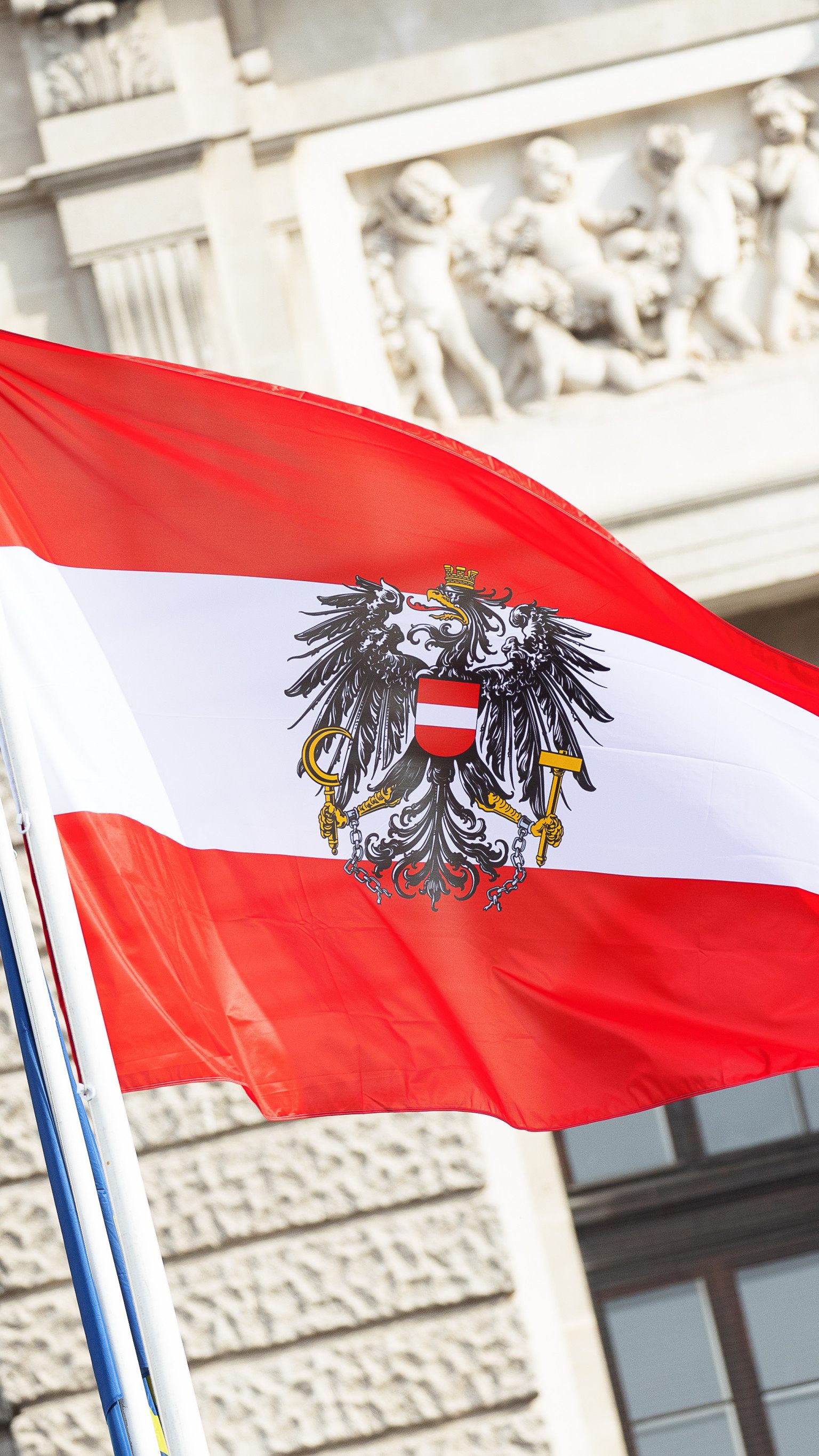 Die NEOS möchten eine "Rot-Weiß-Rot-Karte" für Lehrlinge.