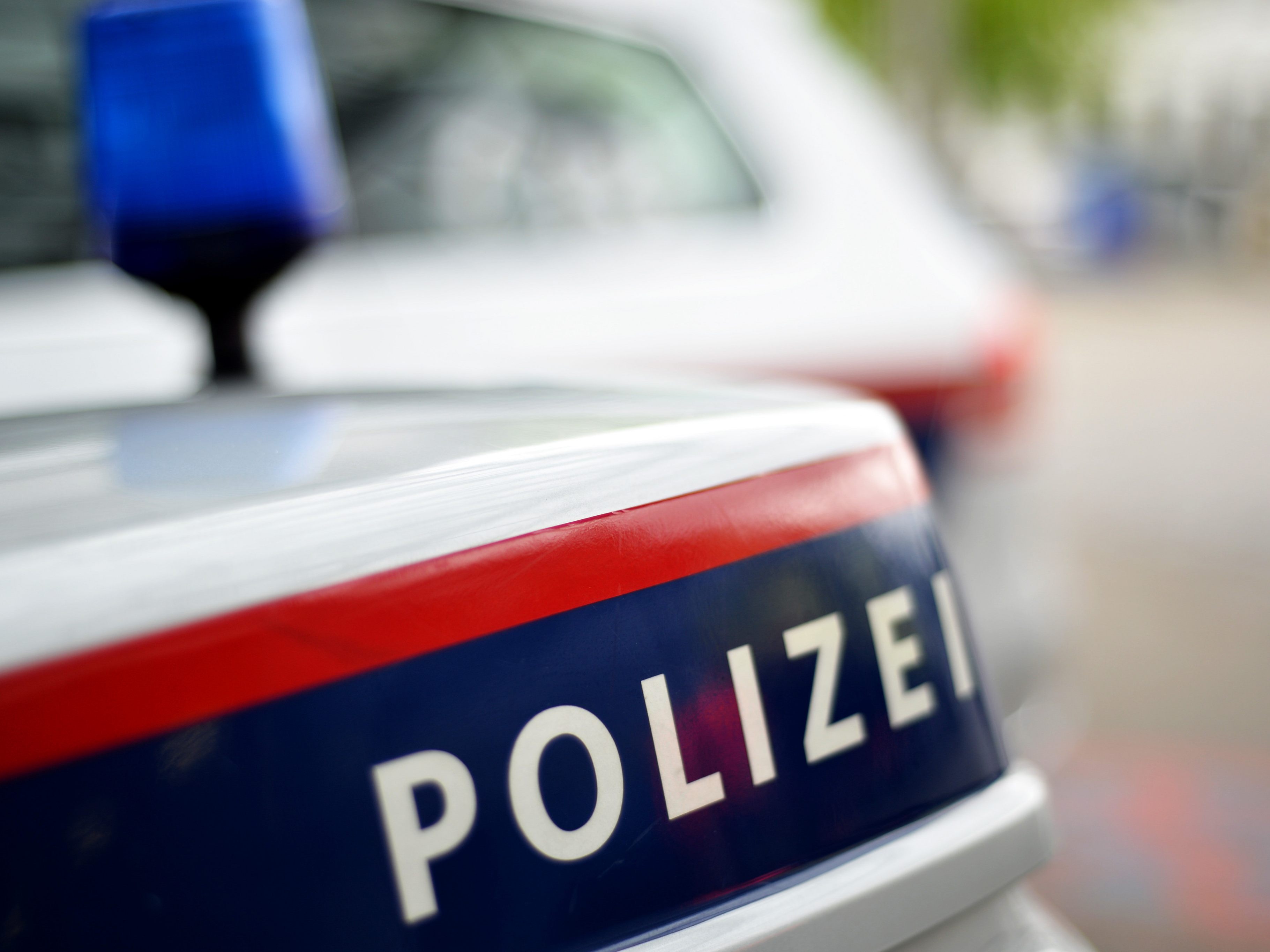 Die Jugendlichen zeigten sich geständig und wurden ihren Eltern übergeben. Die Jugendlichen zeigten sich geständig und wurden ihren Eltern übergeben.