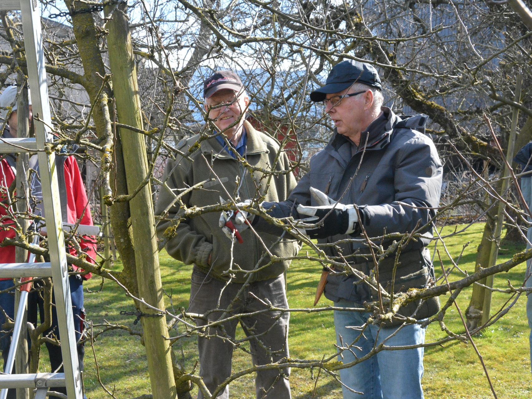 Großes Interesse herrschte beim Baumschnittkurs des Obst- und Gartenbauvereins. Großes Interesse herrschte beim Baumschnittkurs des Obst- und Gartenbauvereins.