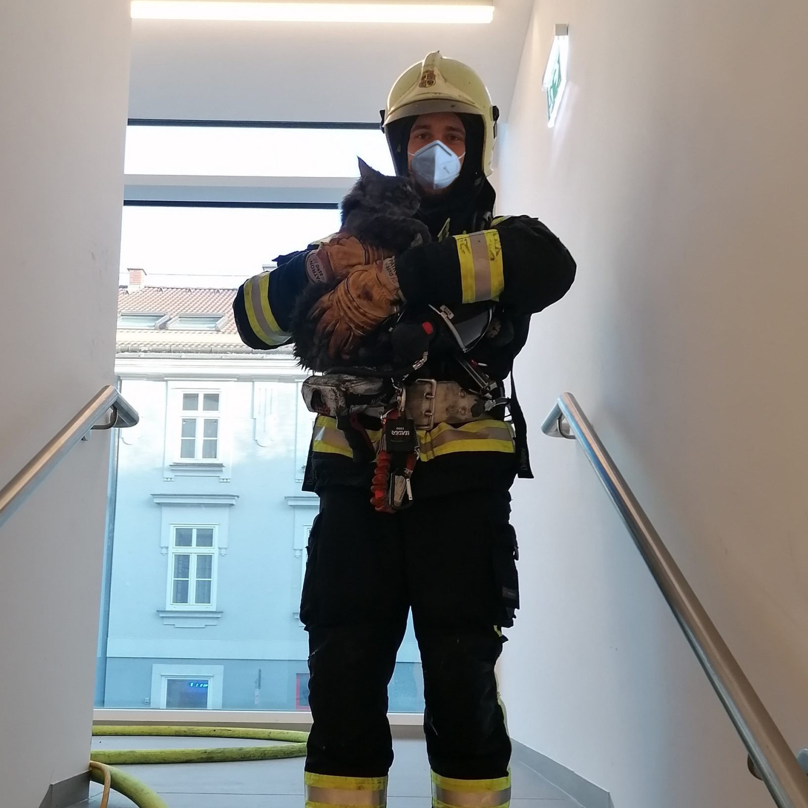 Die Feuerwehr Wiener Neustadt rettete bei einem Wohnungsbrand eine Person und vier Katzen.