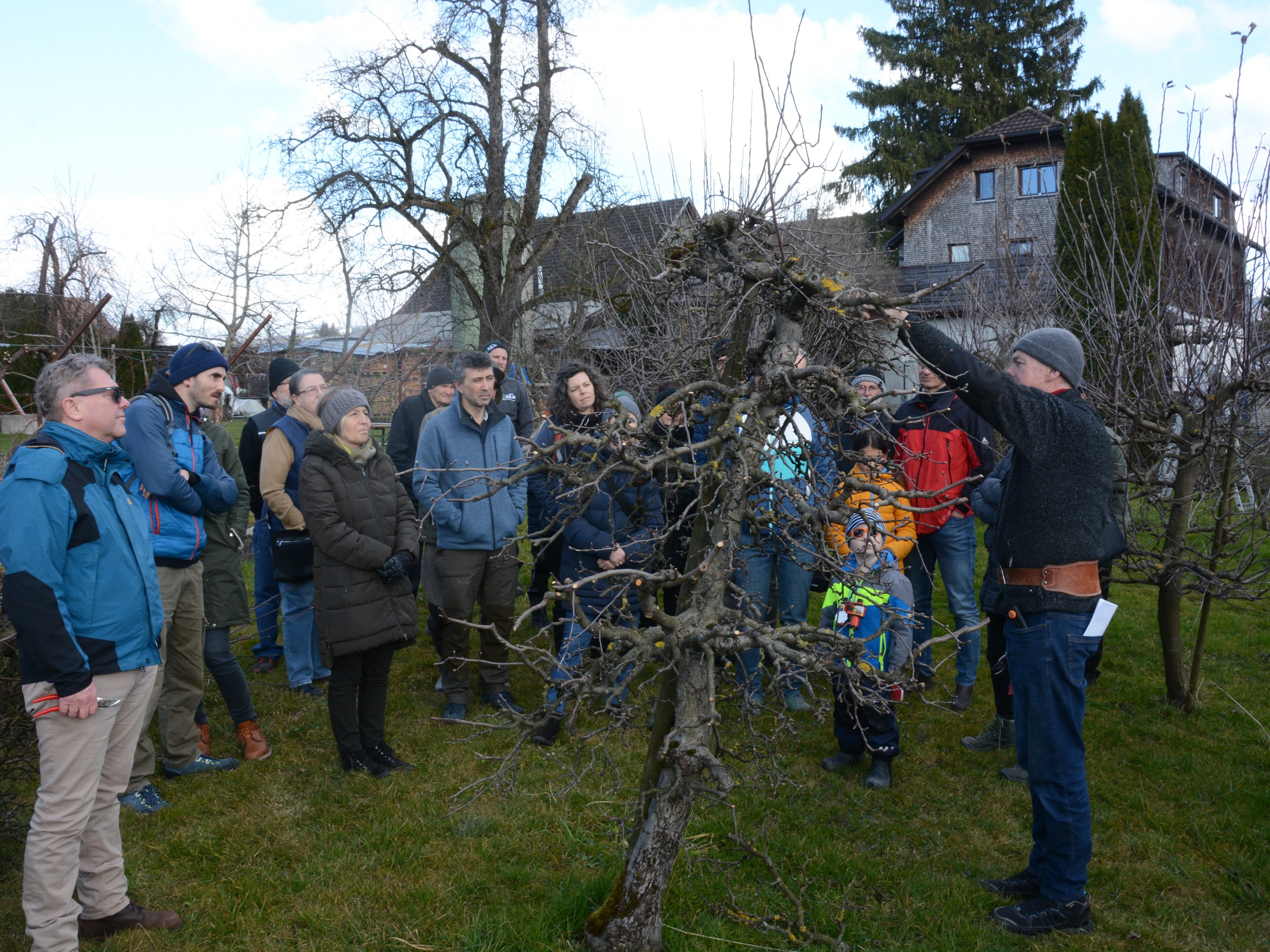 Winterschnittkurs des Obst- und Gartebauvereins Hard Winterschnittkurs des Obst- und Gartebauvereins Hard