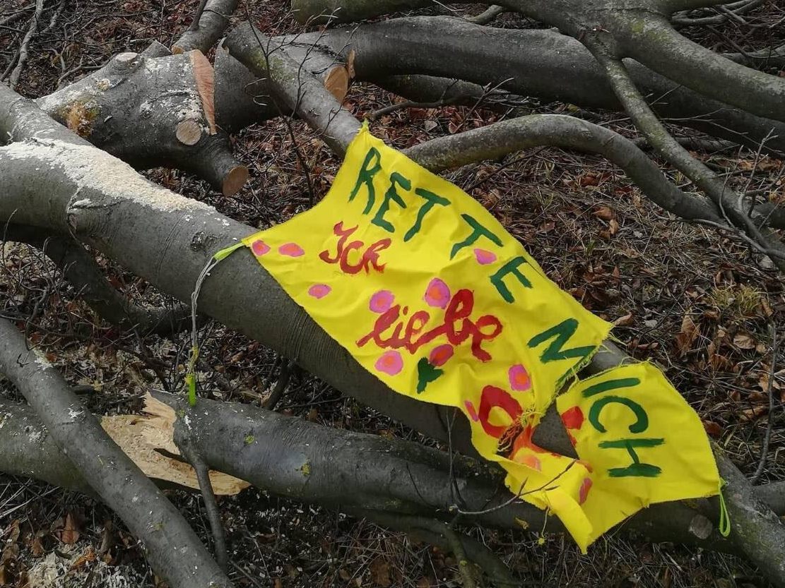Klimaschützer kritisieren die Rodungen von Bäumen im Zuge des Stadtstraßen-Baus. Klimaschützer kritisieren die Rodungen von Bäumen im Zuge des Stadtstraßen-Baus.