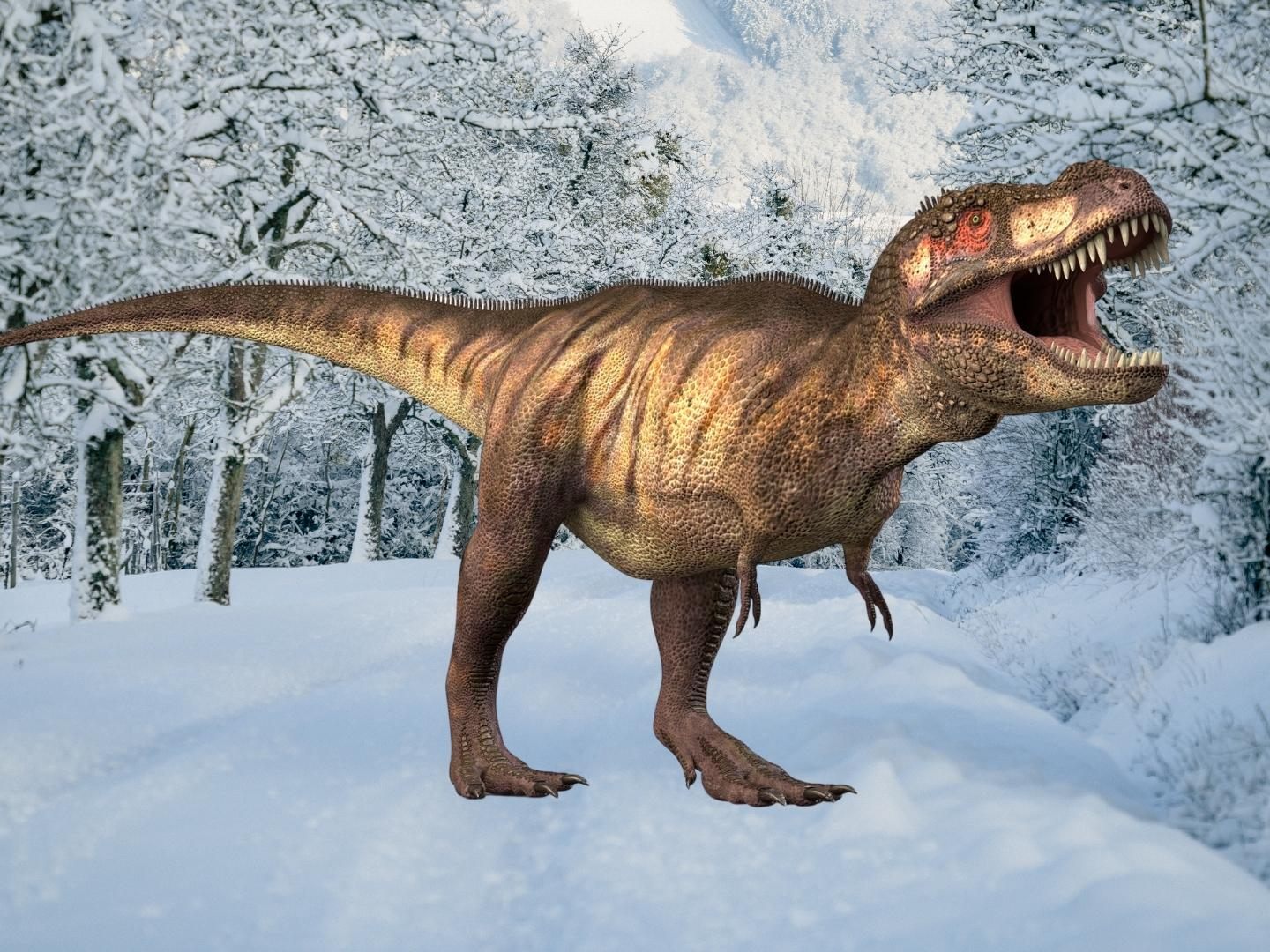 Ein Schneemann der besonderen Art.