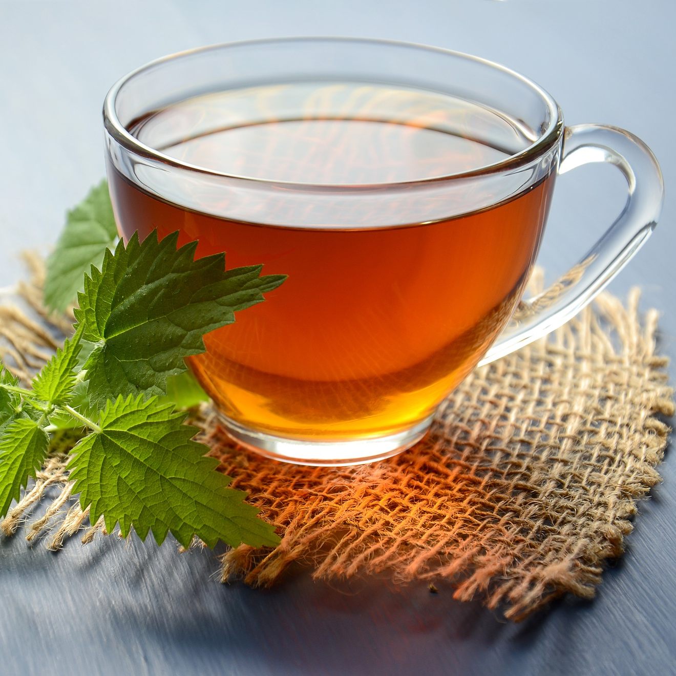 Darum sollte man öfter Brennnesseltee trinken.