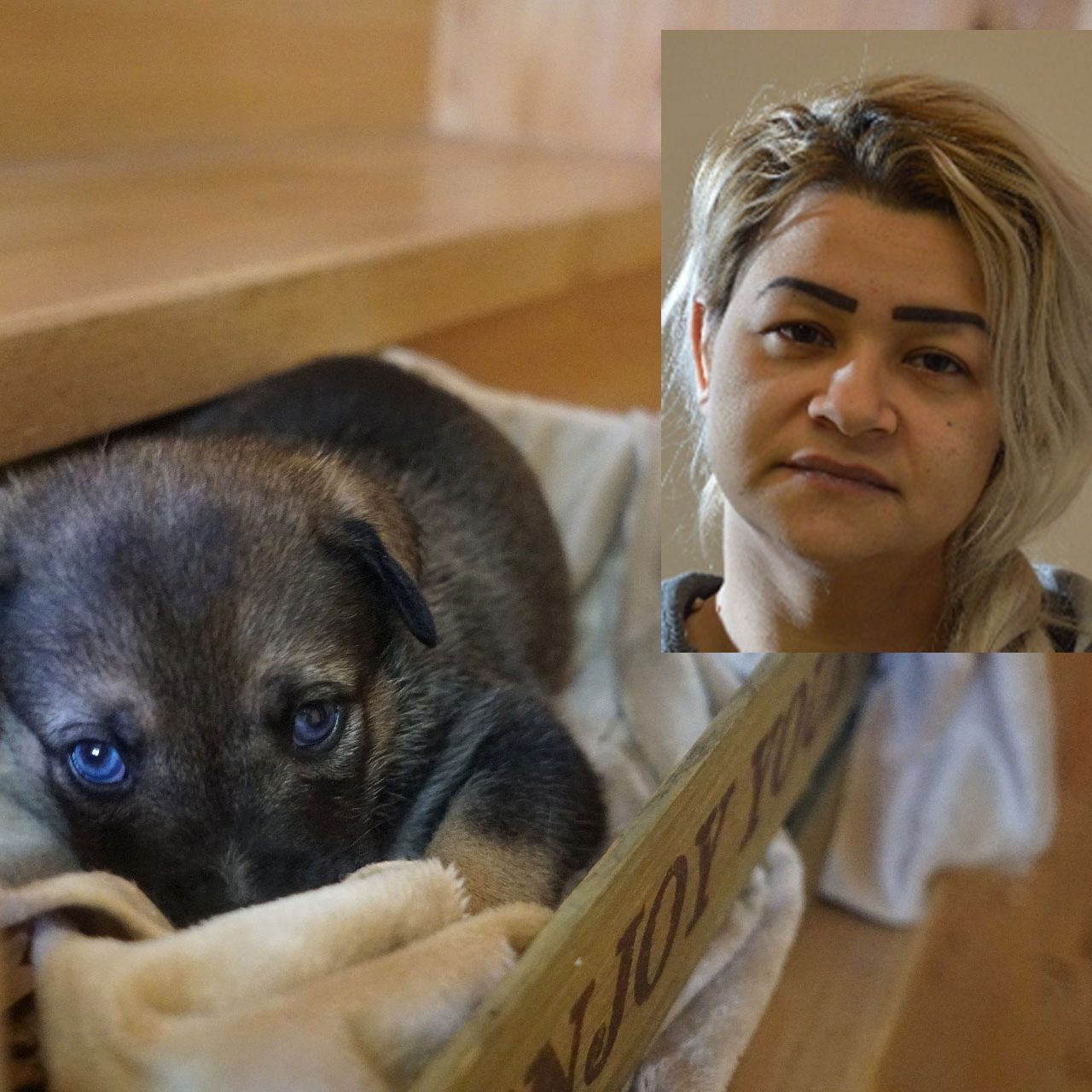 Diese Frau steht unter Verdacht der Tierquälerei an Hundewelpen - Opfer, die ein Tier von ihr erworben haben, werden gebeten, sich zu melden