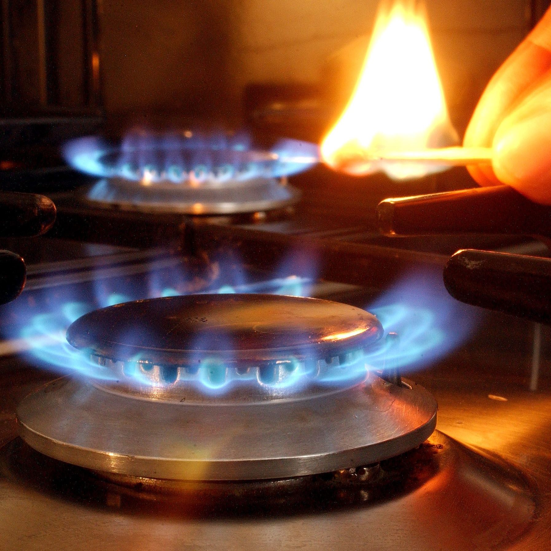 Mehrere Umweltverbände forderten den Stopp von Energieimporten aus Russland.