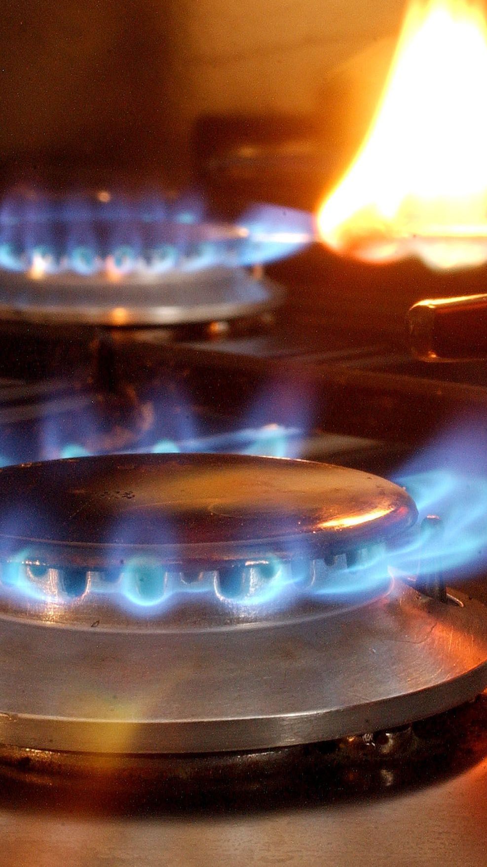 Mehrere Umweltverbände forderten den Stopp von Energieimporten aus Russland.