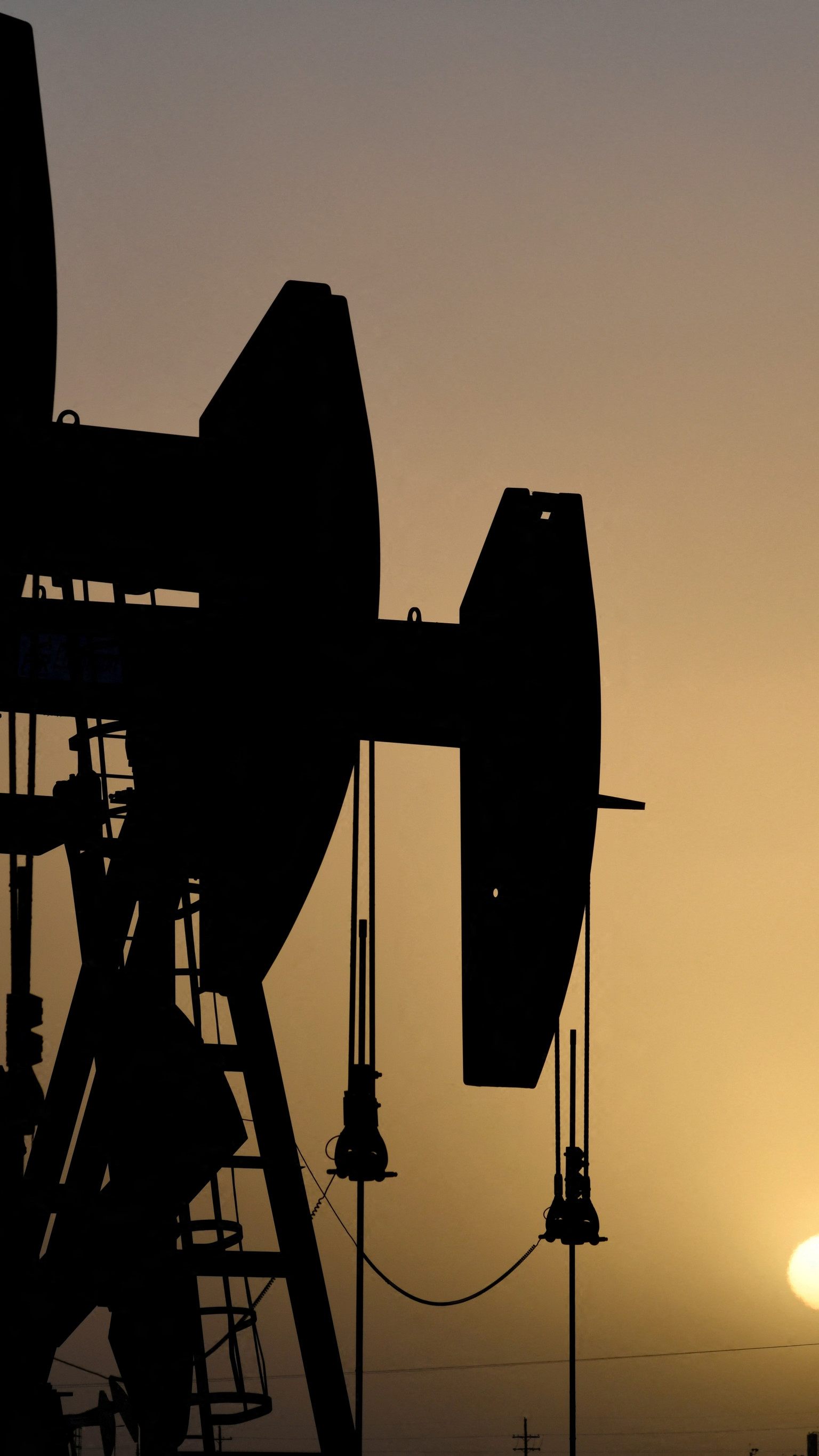 Auch Österreich gibt kleinen Teil seiner Ölreserven frei.