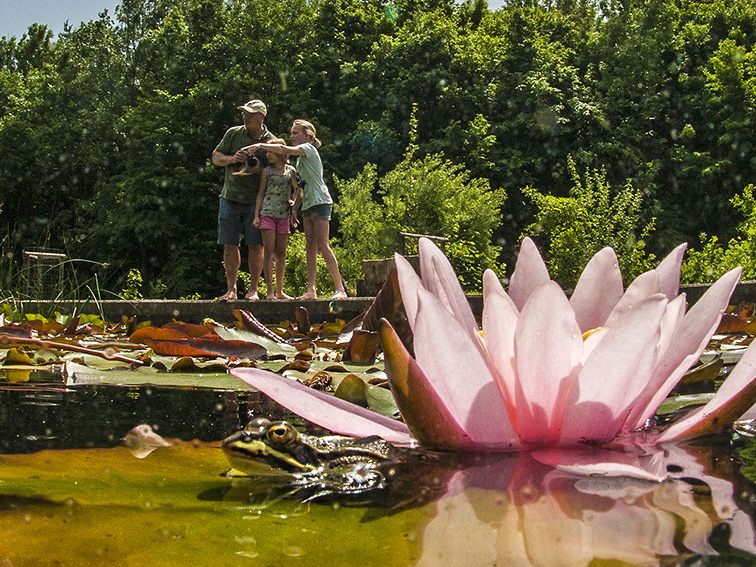 Die neue Wasserleitung soll den Pappelteich vor einer klimawandelbedingten Austrocknung schützen. Die neue Wasserleitung soll den Pappelteich vor einer klimawandelbedingten Austrocknung schützen.