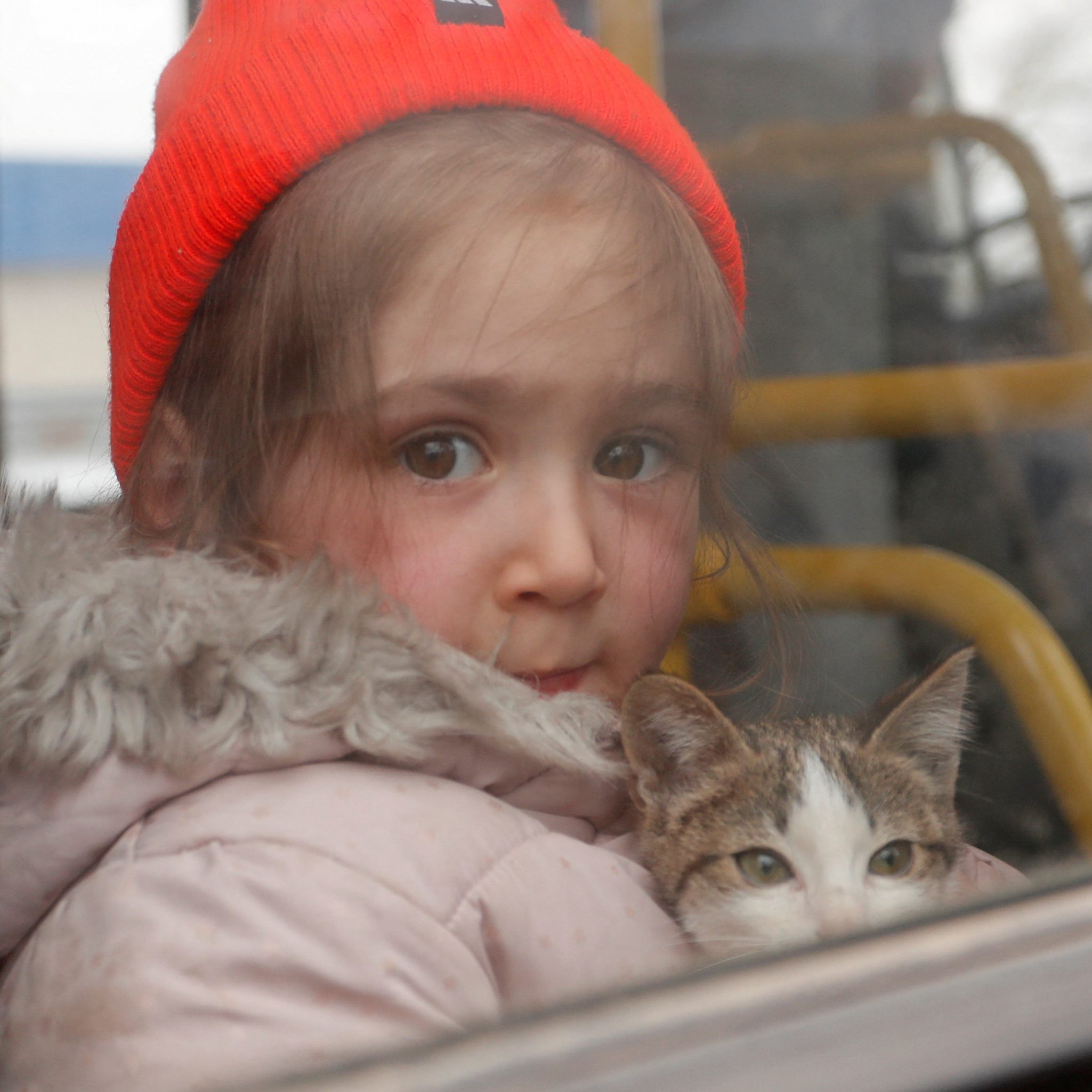 In Vorarlberg werden rund 2.500 Menschen aus der Ukraine erwartet.