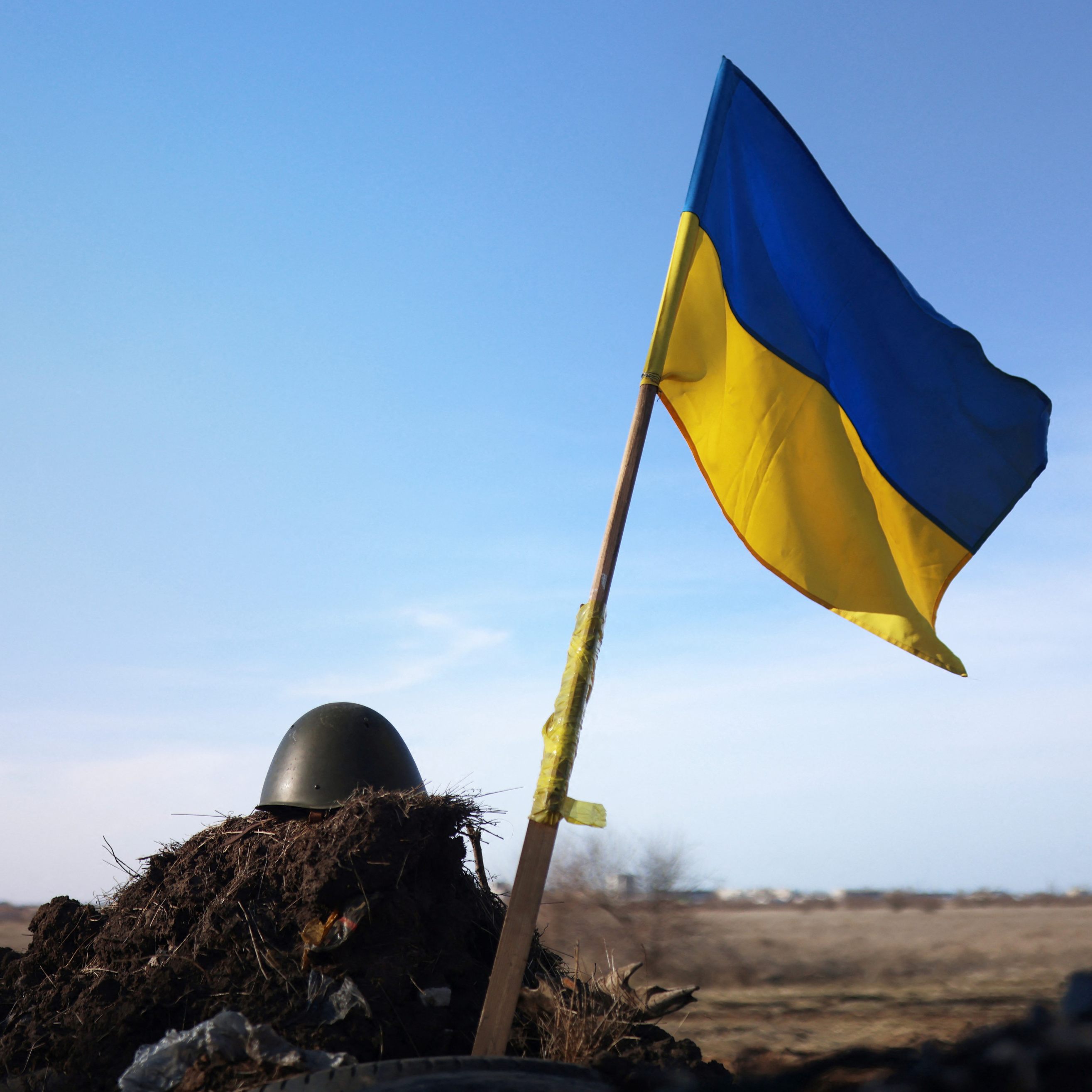 Instagram-Star Kater Stepan gelang mit seinem Frauchen die Flucht aus der Ukraine.