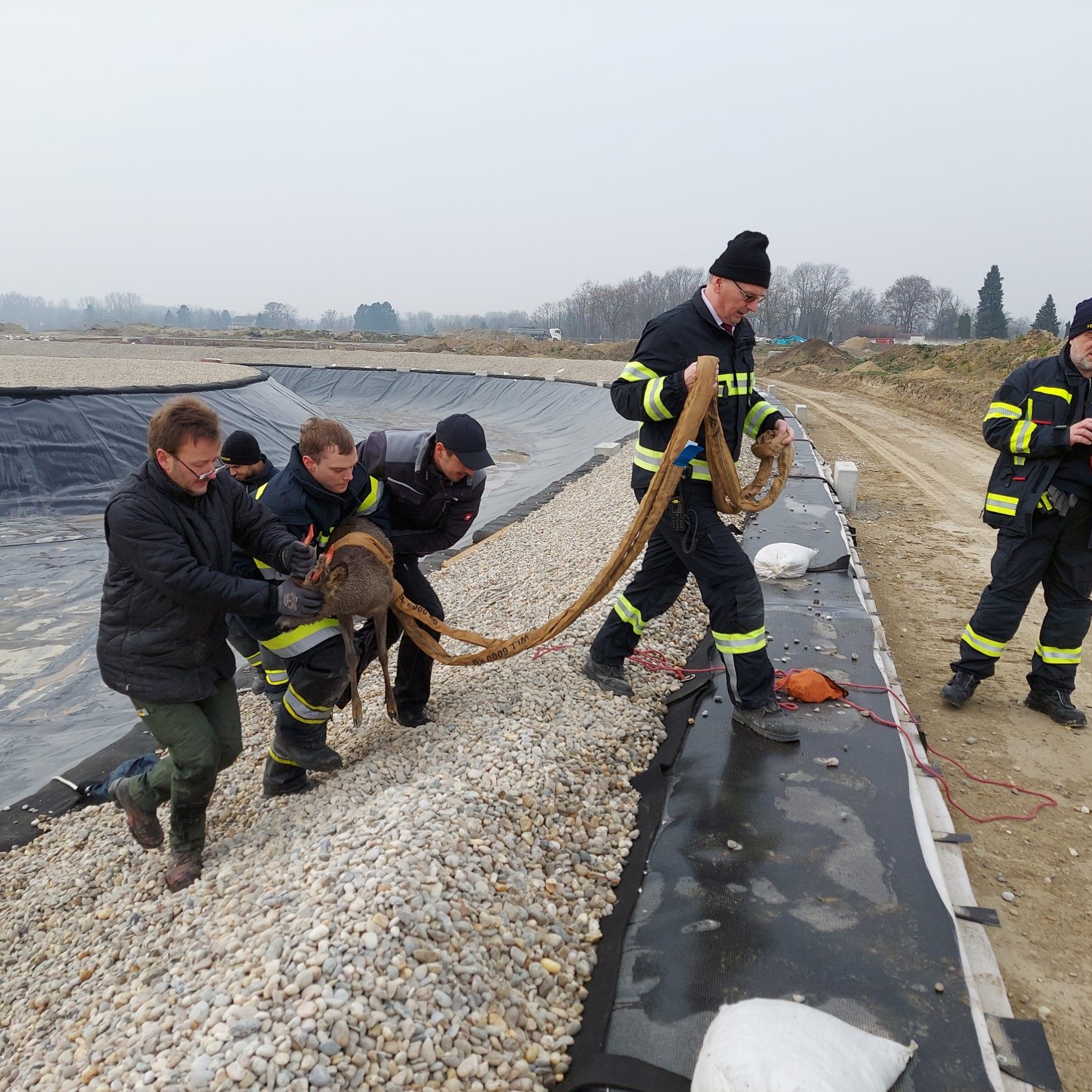 Bei der Rettung des Rehbocks aus der Baugrube