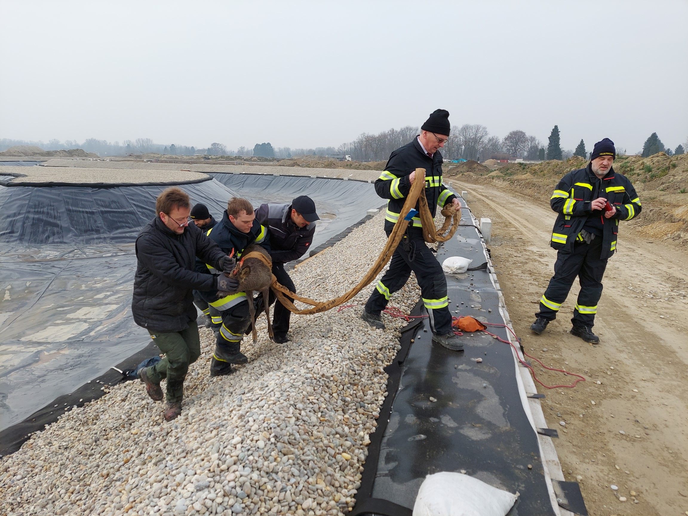 Bei der Rettung des Rehbocks aus der Baugrube Bei der Rettung des Rehbocks aus der Baugrube