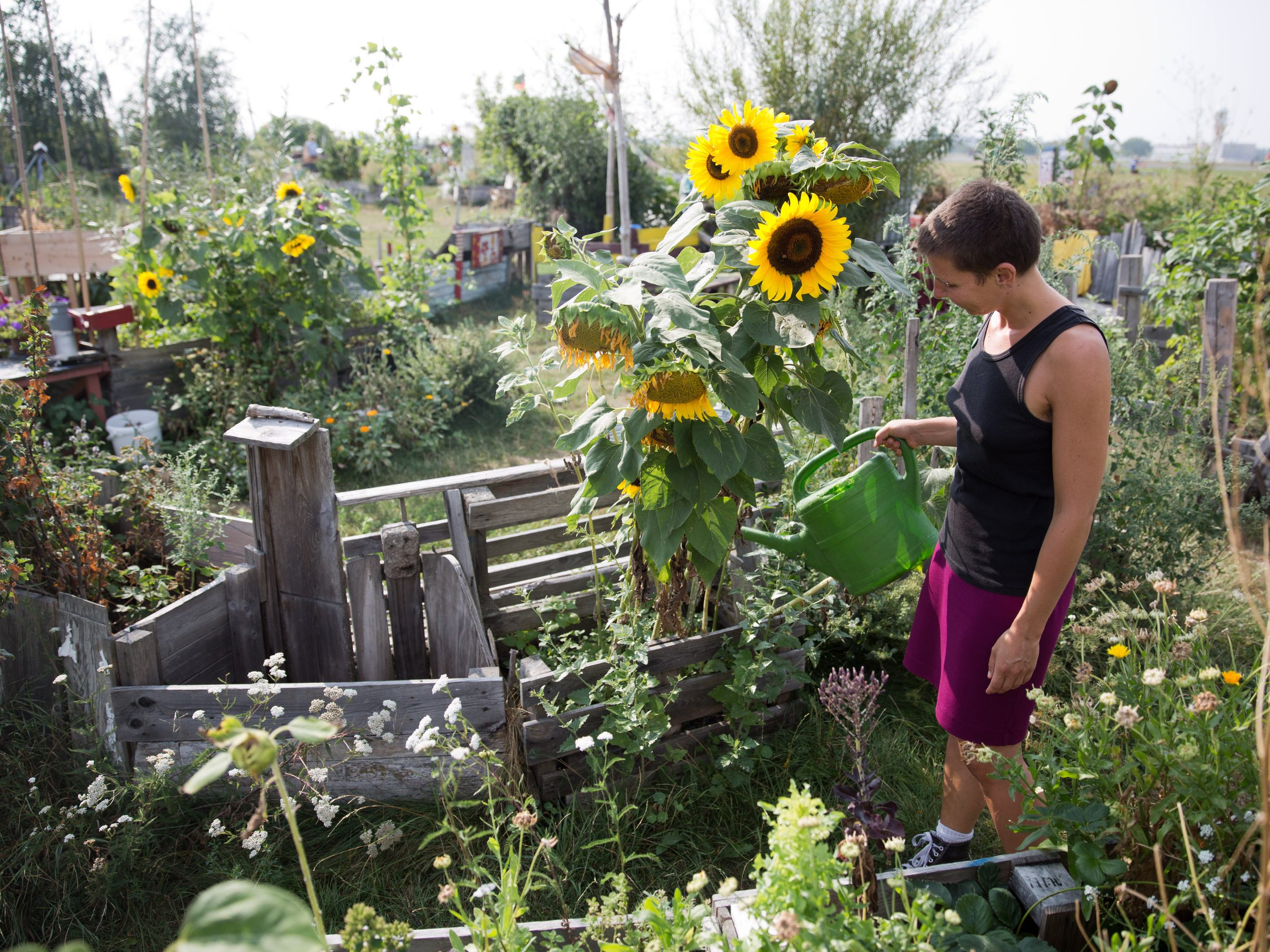 Urban Gardening im Hafen Wien ist ab 1. April 2022 wieder zurück. Urban Gardening im Hafen Wien ist ab 1. April 2022 wieder zurück.