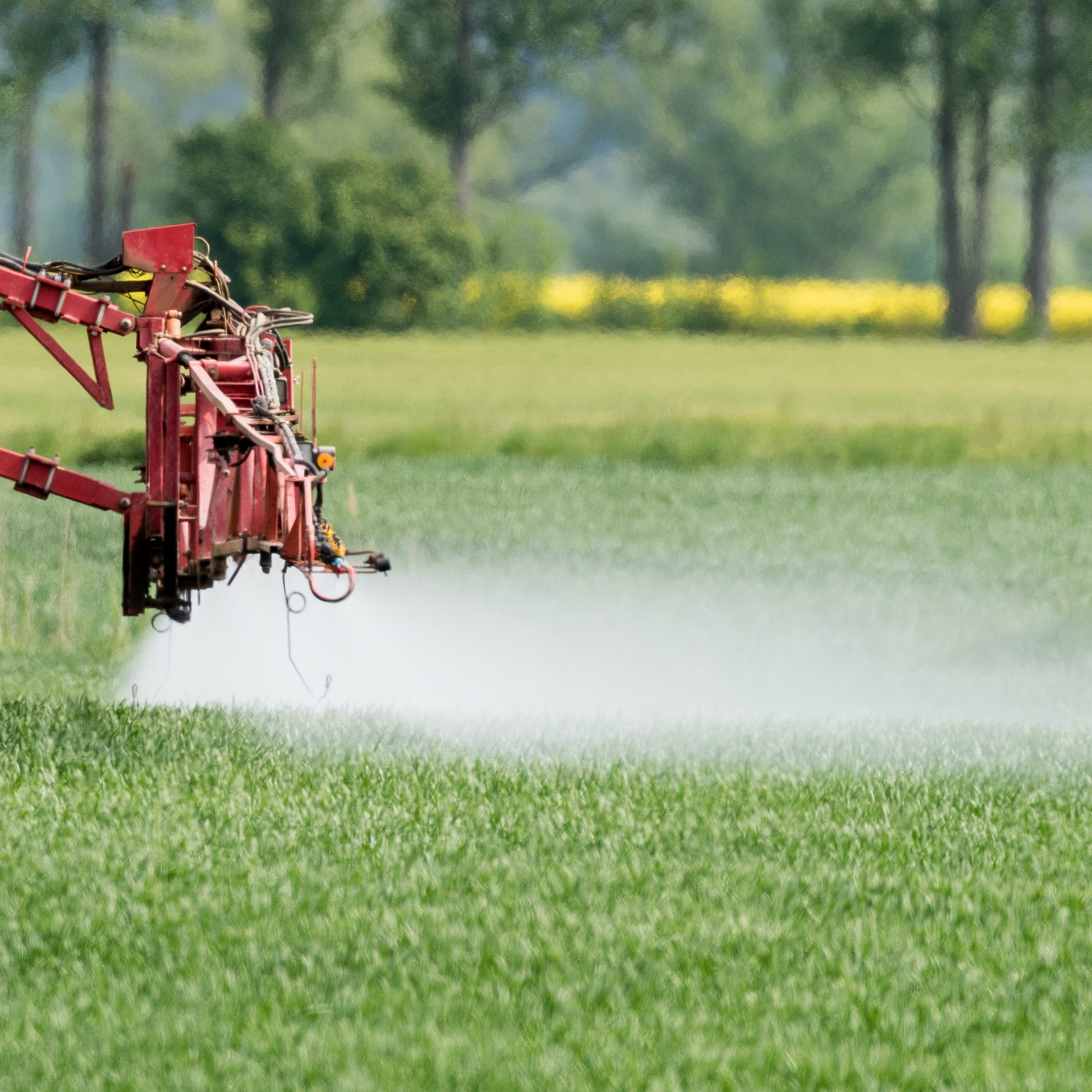 In der Folge auch niedrigere Ernten erwartet