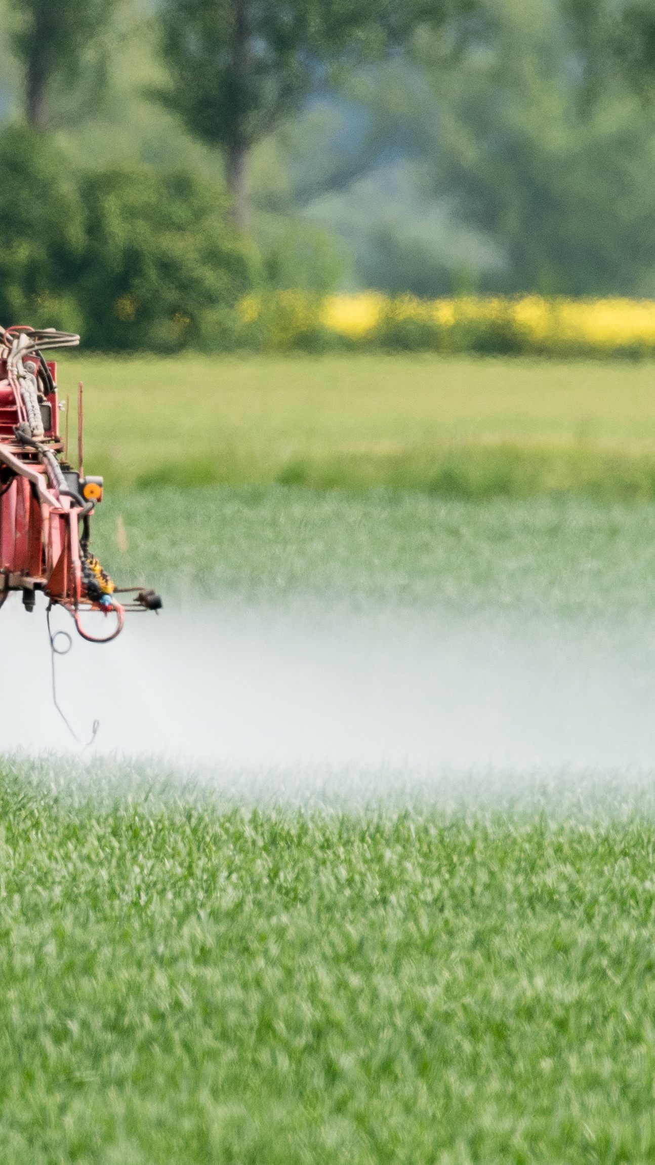 In der Folge auch niedrigere Ernten erwartet