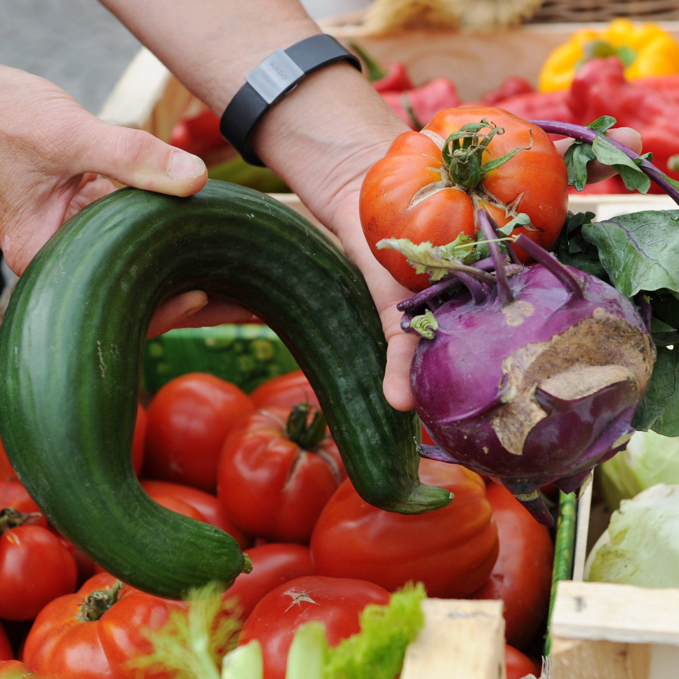 Das Projekt "Appetit" will die Lebensmittelverschwendung um zehn Prozent reduzieren.