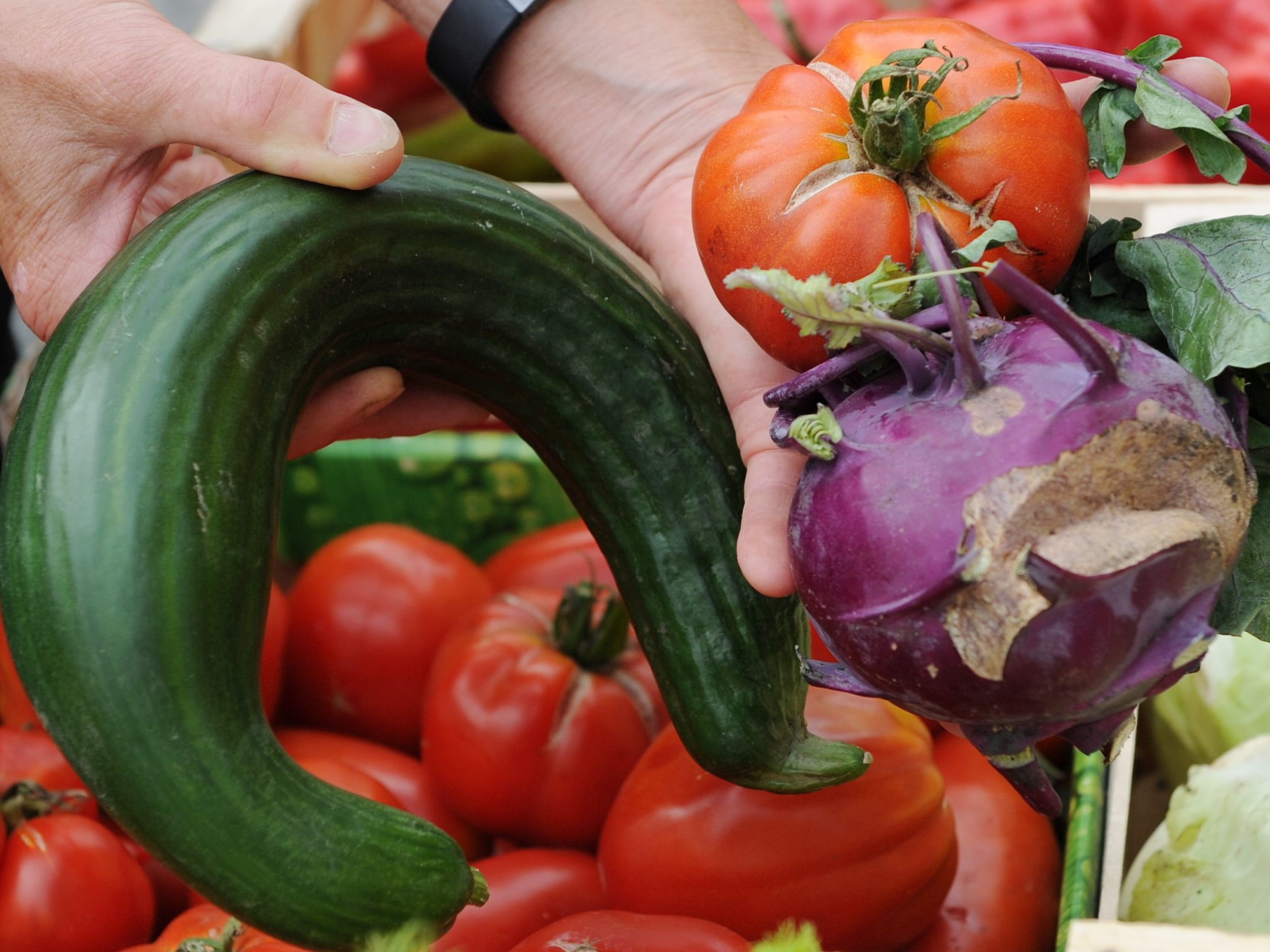 Das Projekt "Appetit" will die Lebensmittelverschwendung um zehn Prozent reduzieren. Das Projekt "Appetit" will die Lebensmittelverschwendung um zehn Prozent reduzieren.