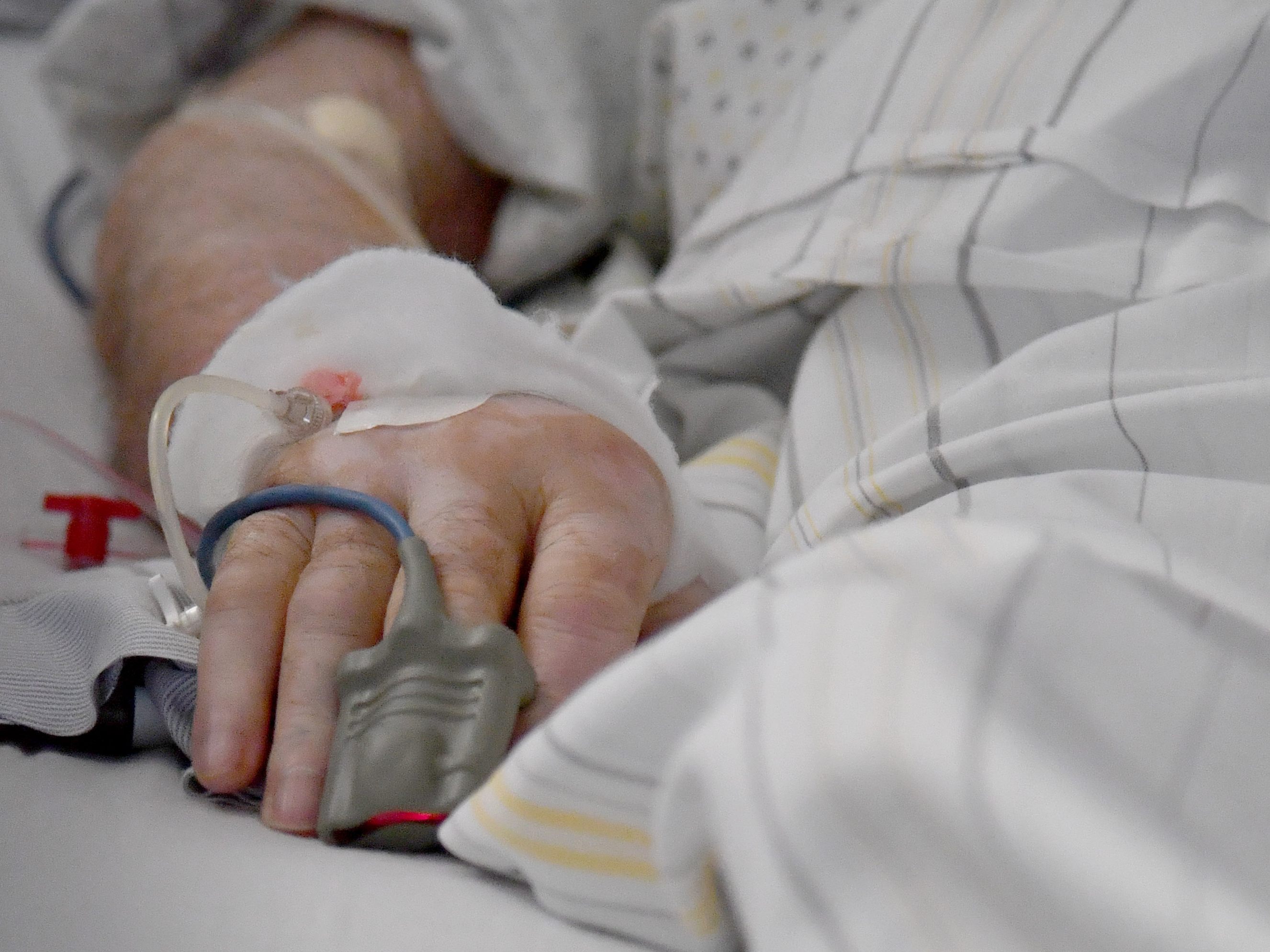 Mit 655 Corona-Patienten gab es am Mittwoch einen neuen Rekord auf den Normalstationen in Niederösterreichs Spitälern.