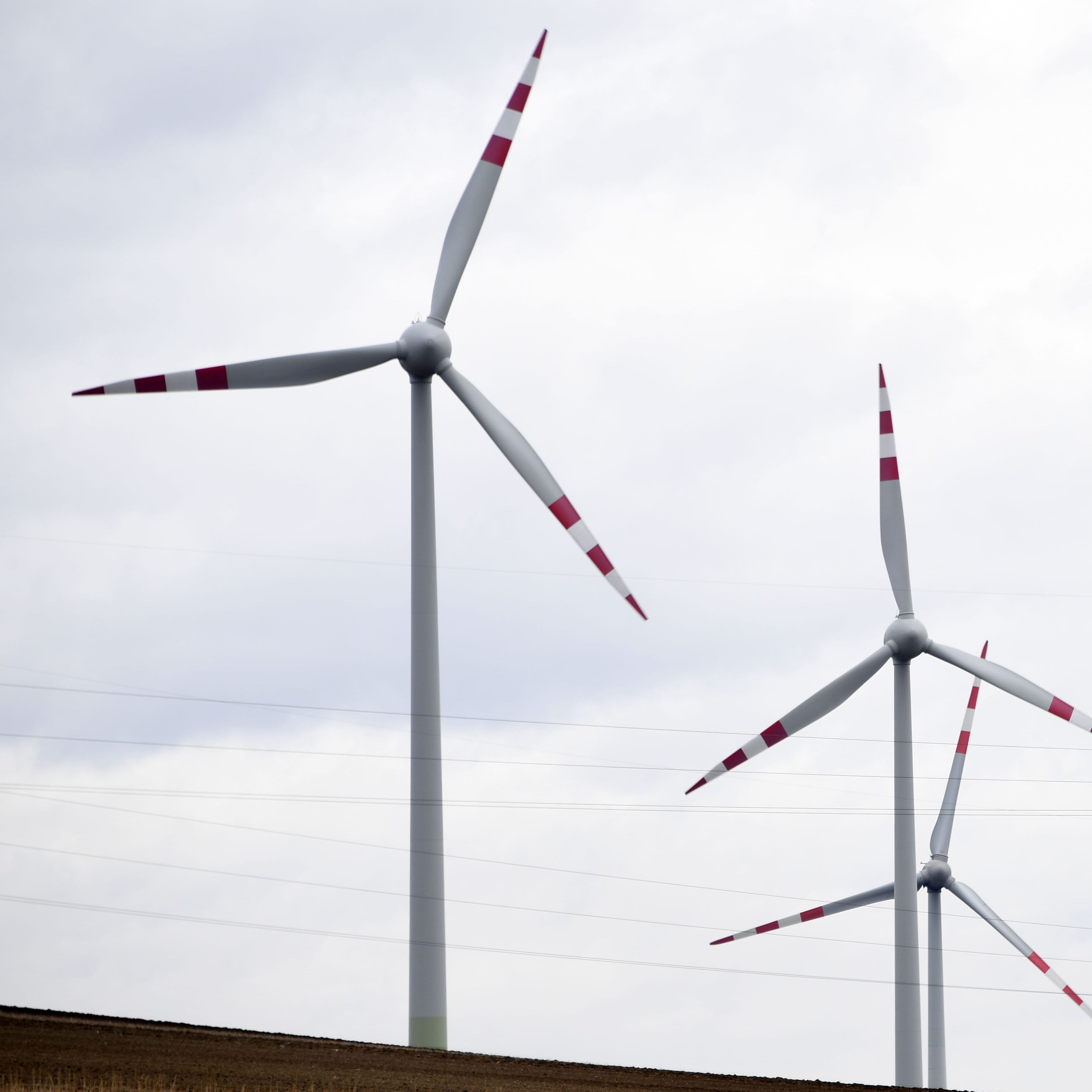 Der Windpark in Dürnkrut soll erweitert werden.