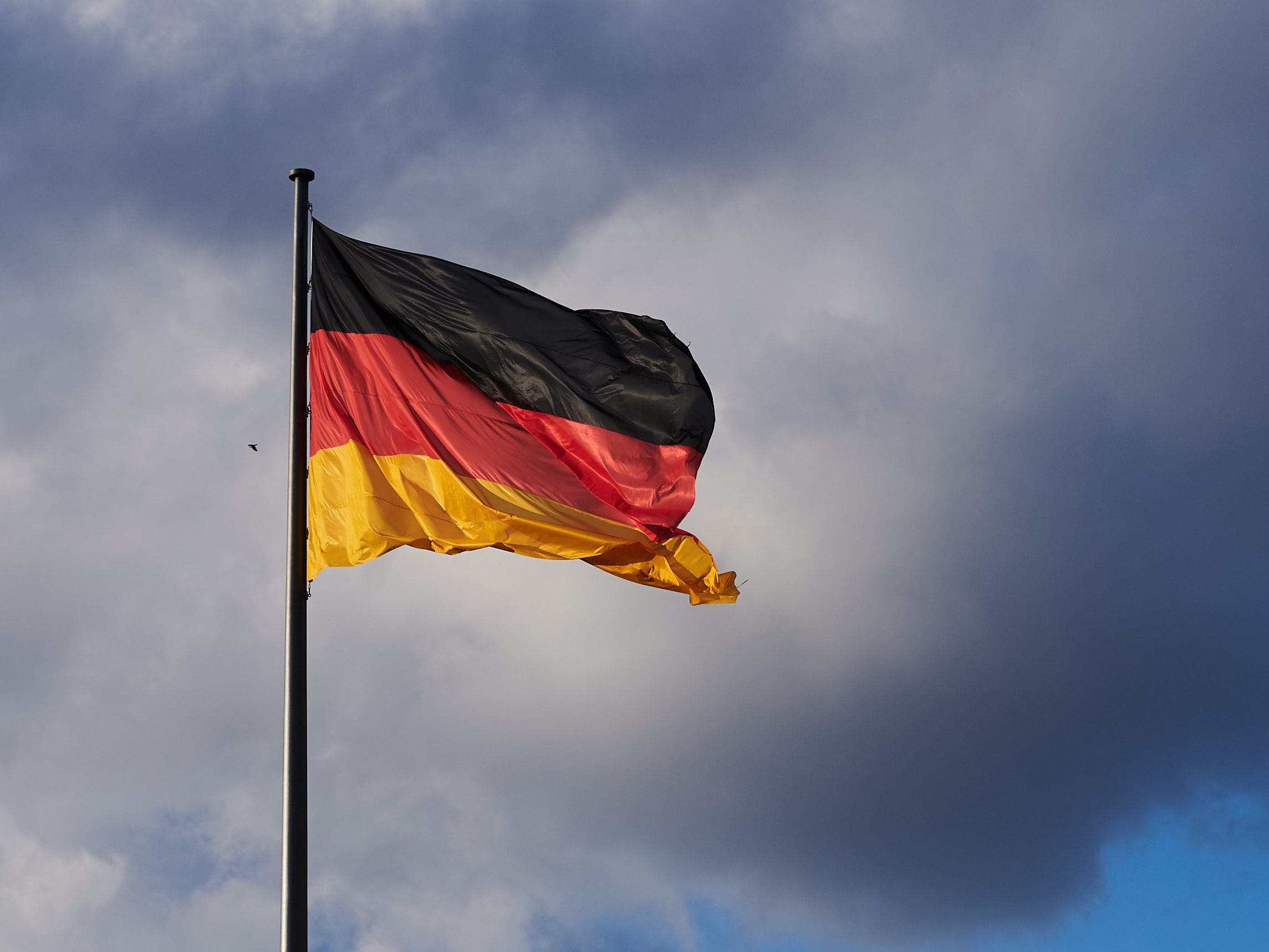 Der Vertreter Deutschlands beim Song Contest steht fest. Es ist Malik Harris.