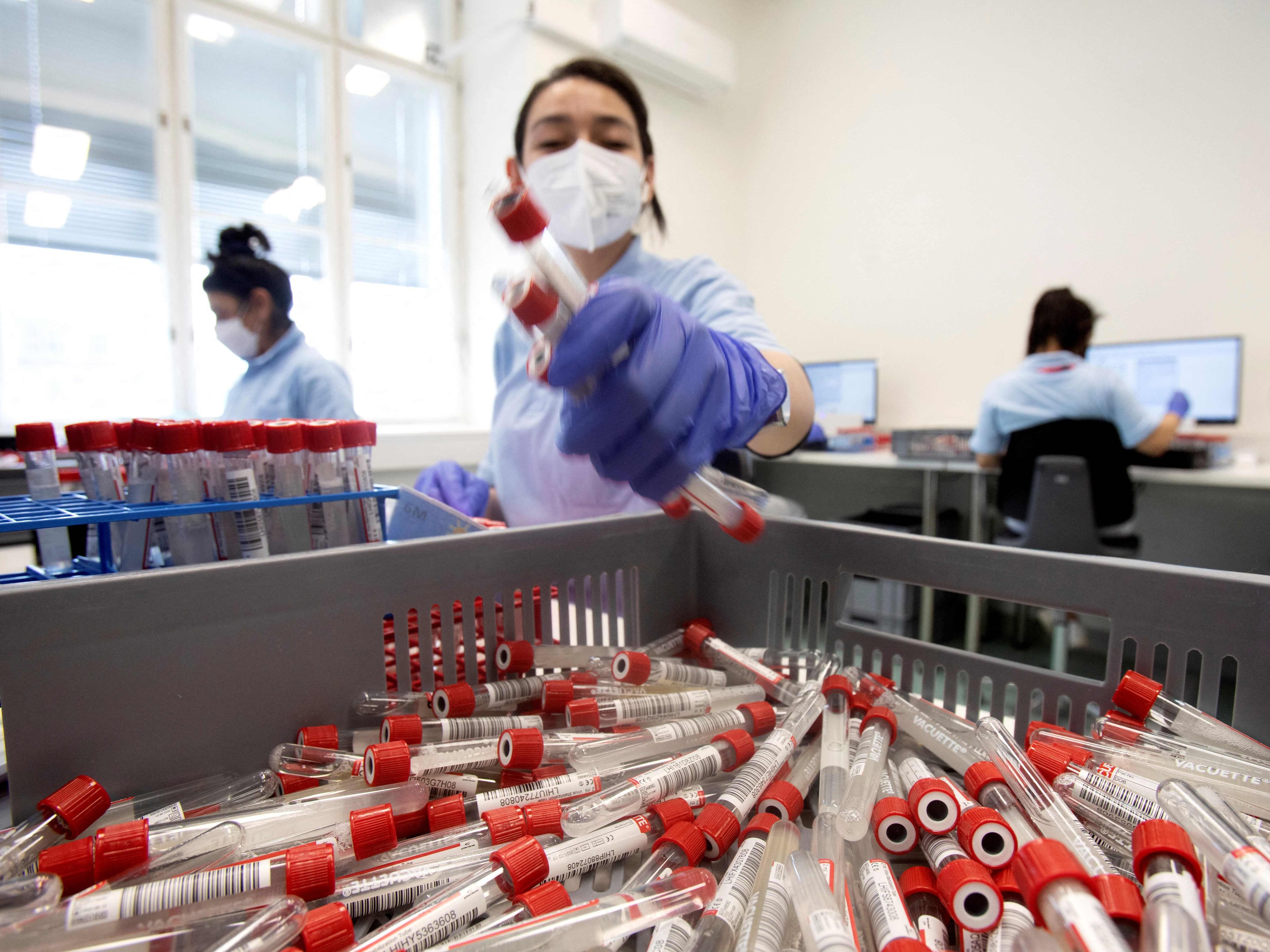 Von Donnerstag auf Freitag wurden 49.323 neue Fälle mit dem Coronavirus in Österreich gemeldet. Von Donnerstag auf Freitag wurden 49.323 neue Fälle mit dem Coronavirus in Österreich gemeldet.