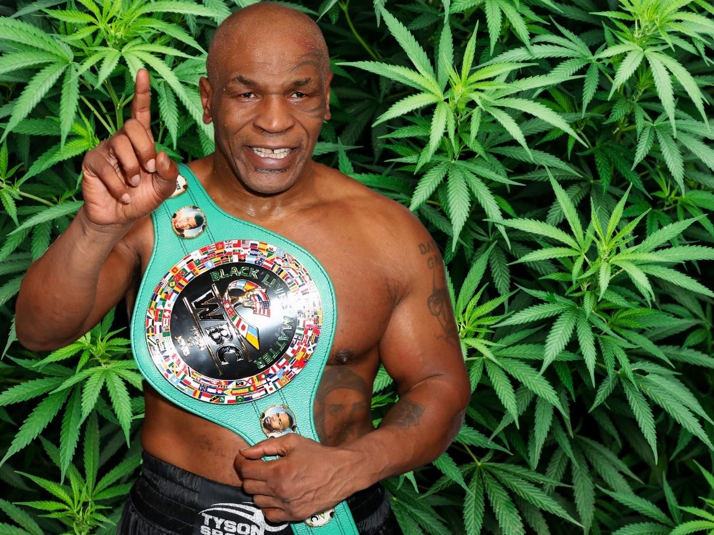 Mike Tyson profitiert von der Legalisierung und bessert sich seine Rente ordentlich auf.